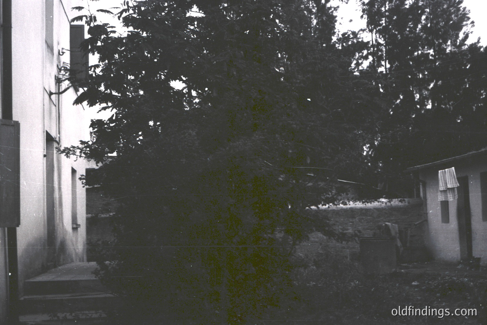 Vintage photograph