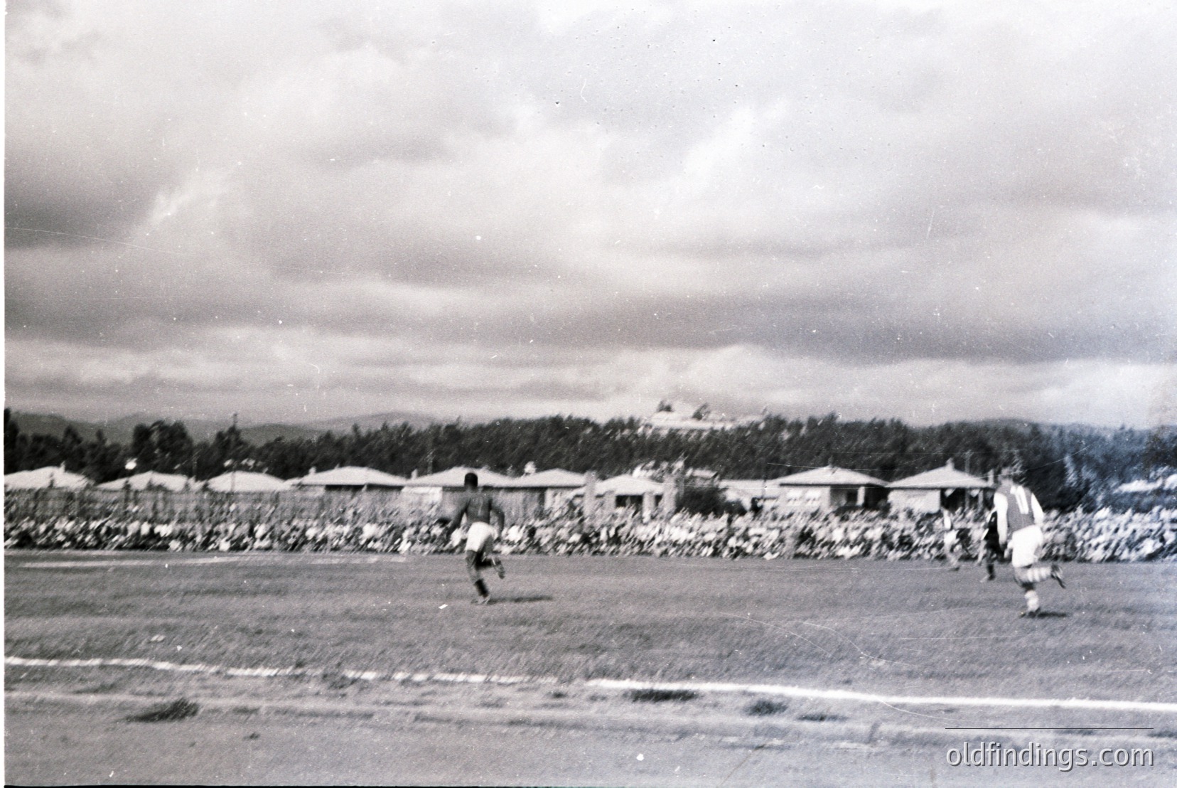 Vintage photograph