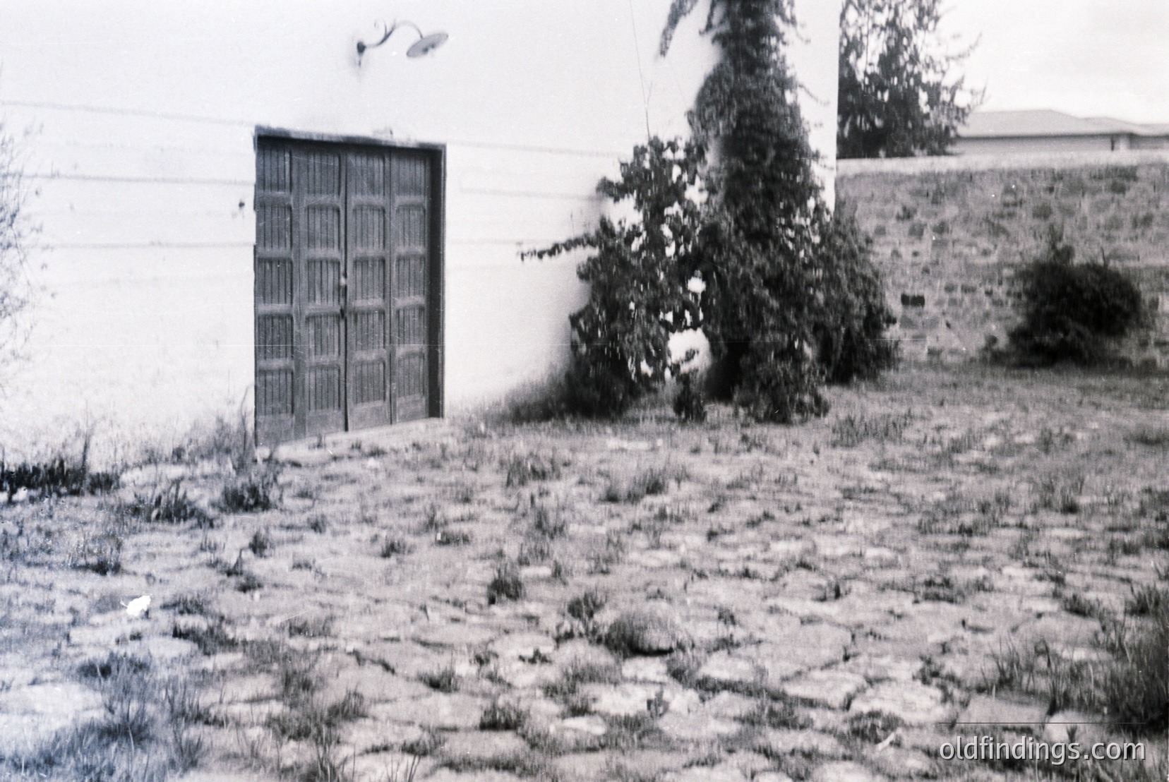 Vintage photograph