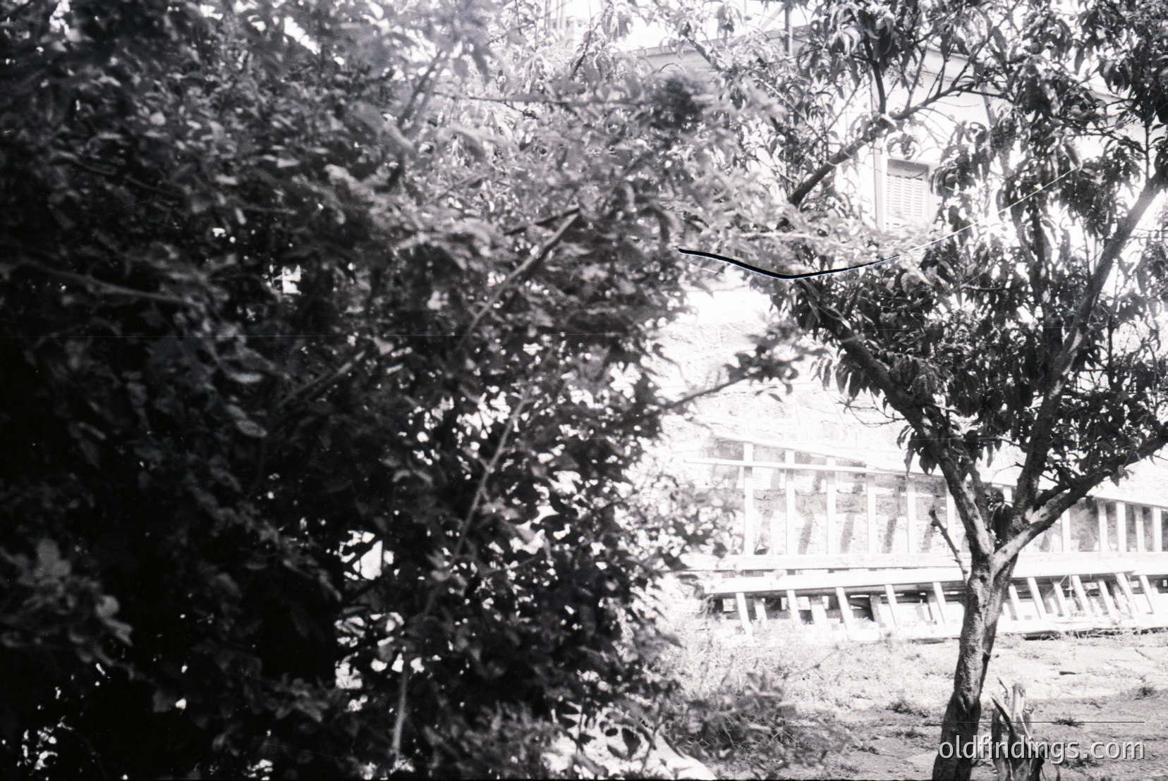 Vintage photograph