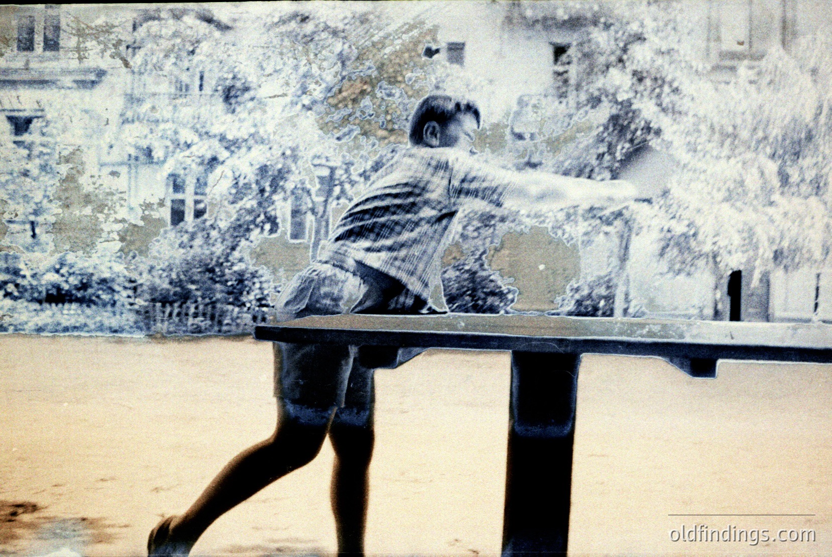 Vintage photograph