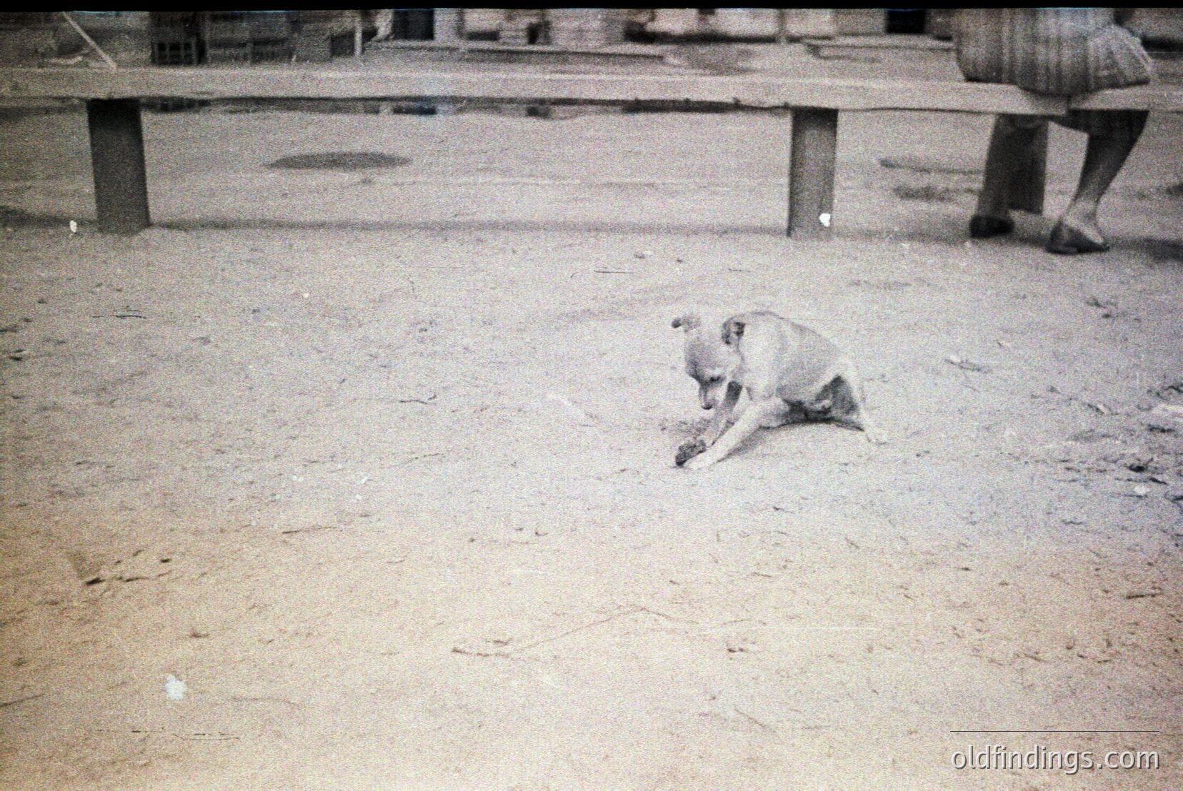 Vintage photograph