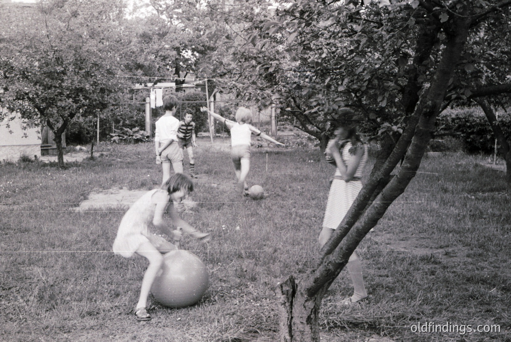 Vintage photograph