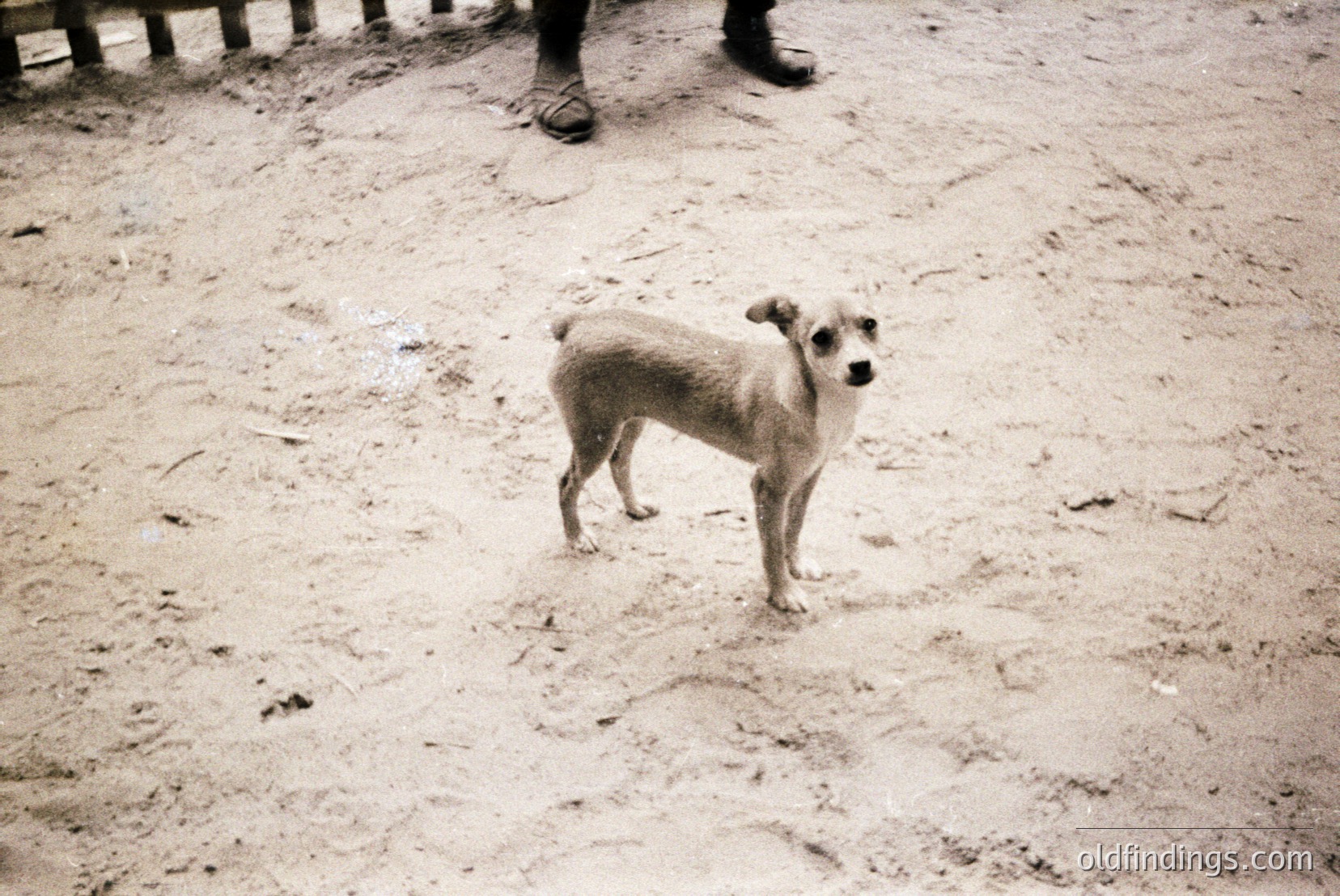 Vintage photograph