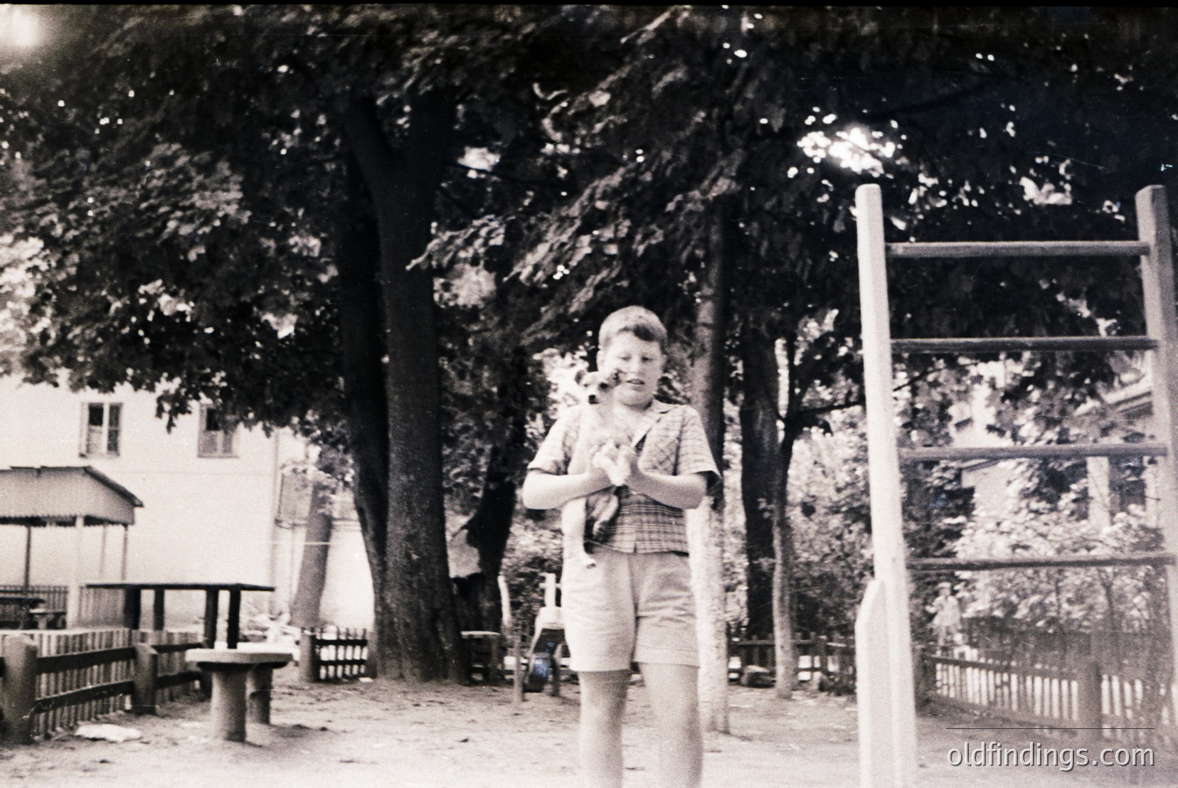 Vintage photograph