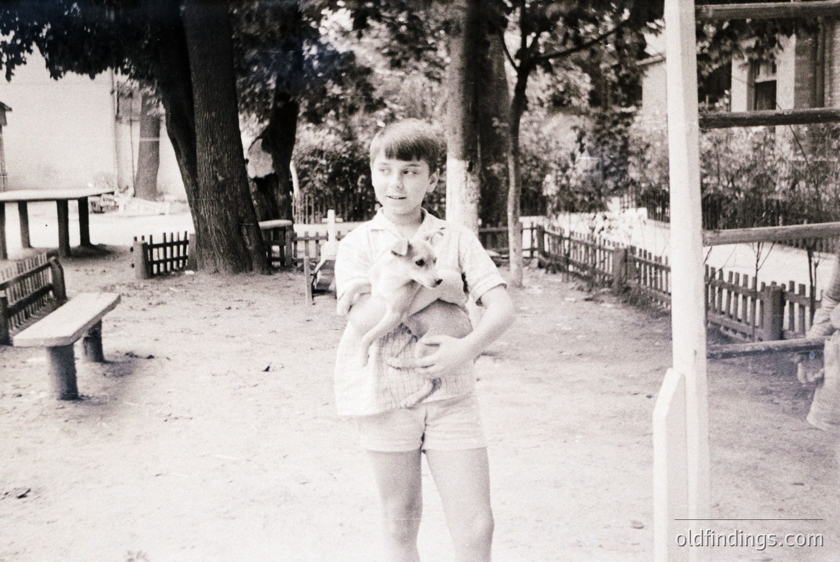 Vintage photograph