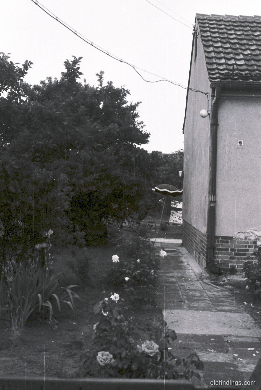 Vintage photograph