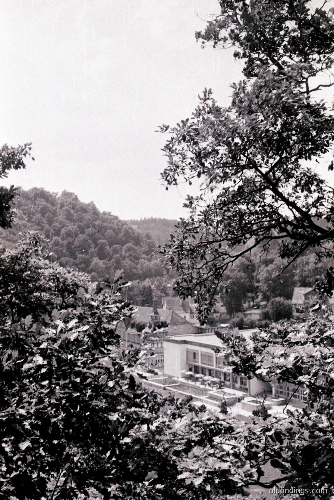 Vintage photograph