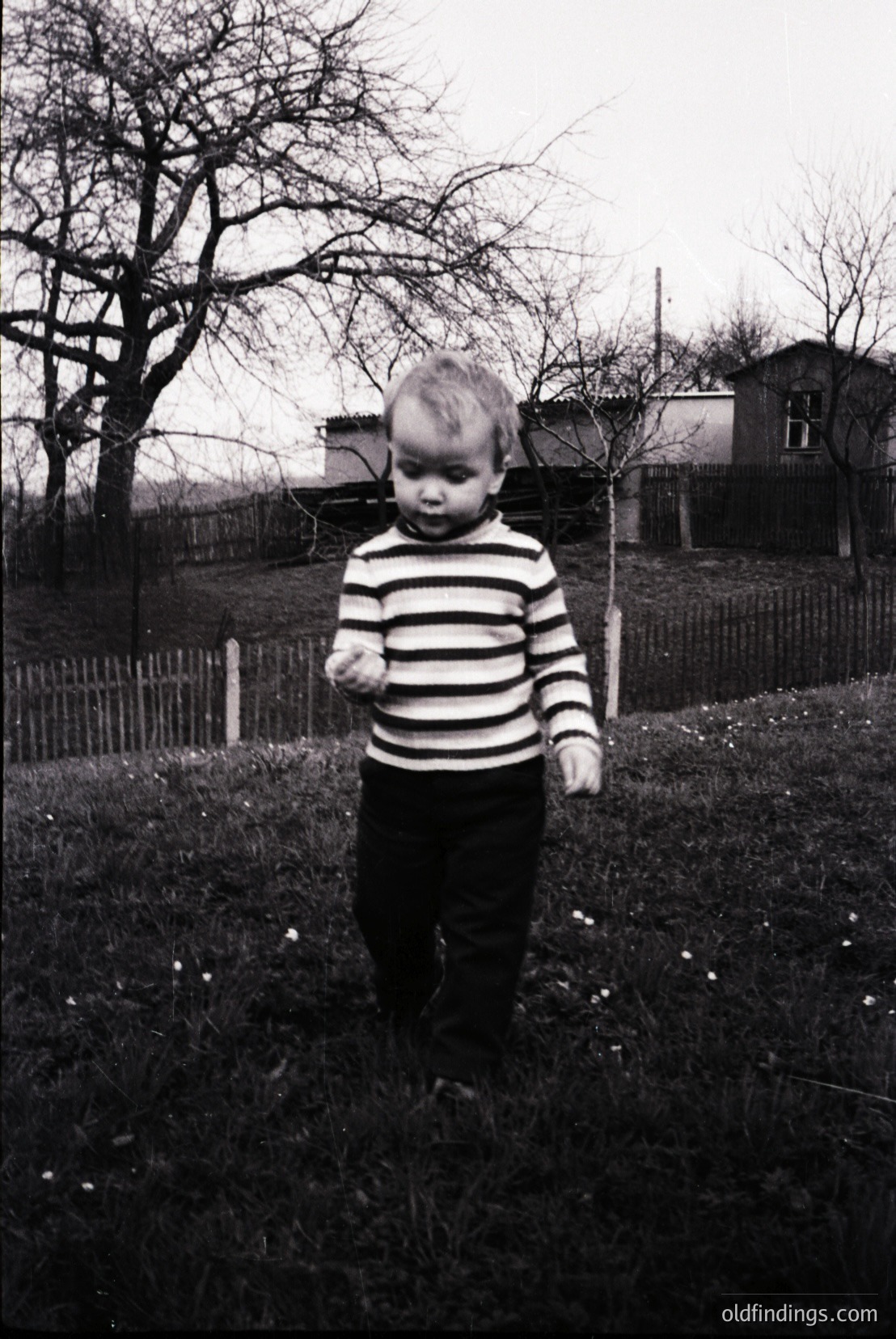 Vintage photograph