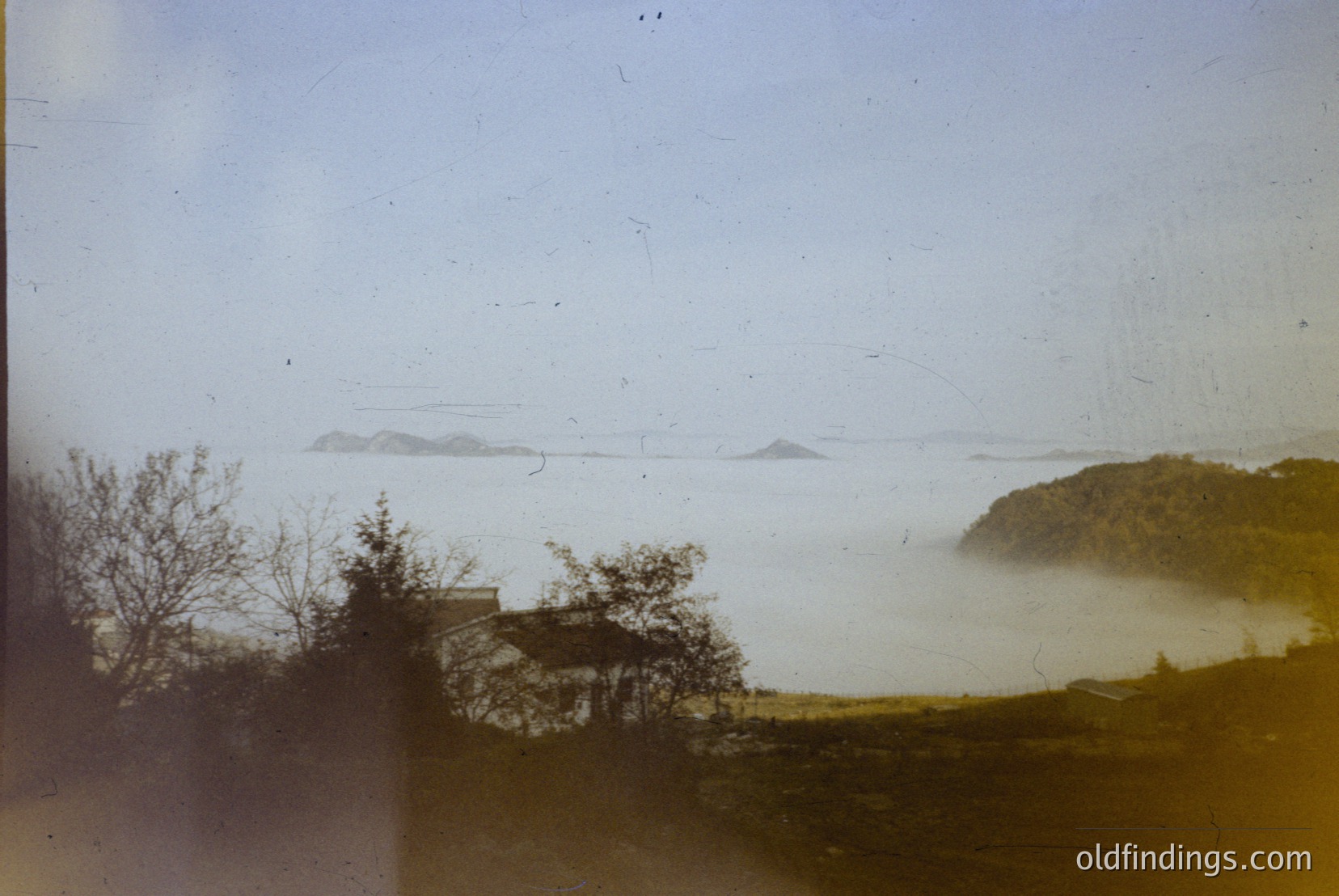 Vintage photograph