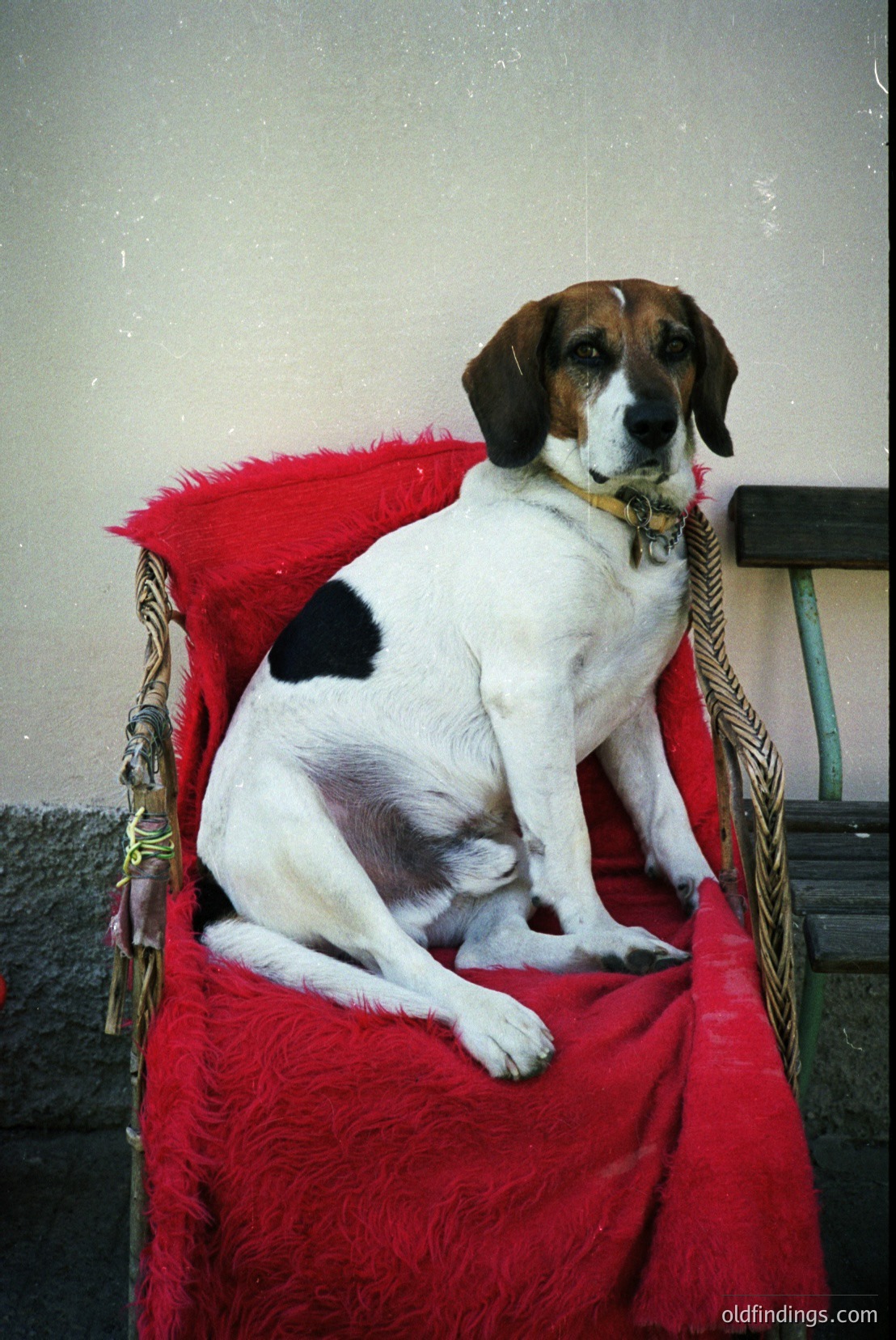 Vintage photograph