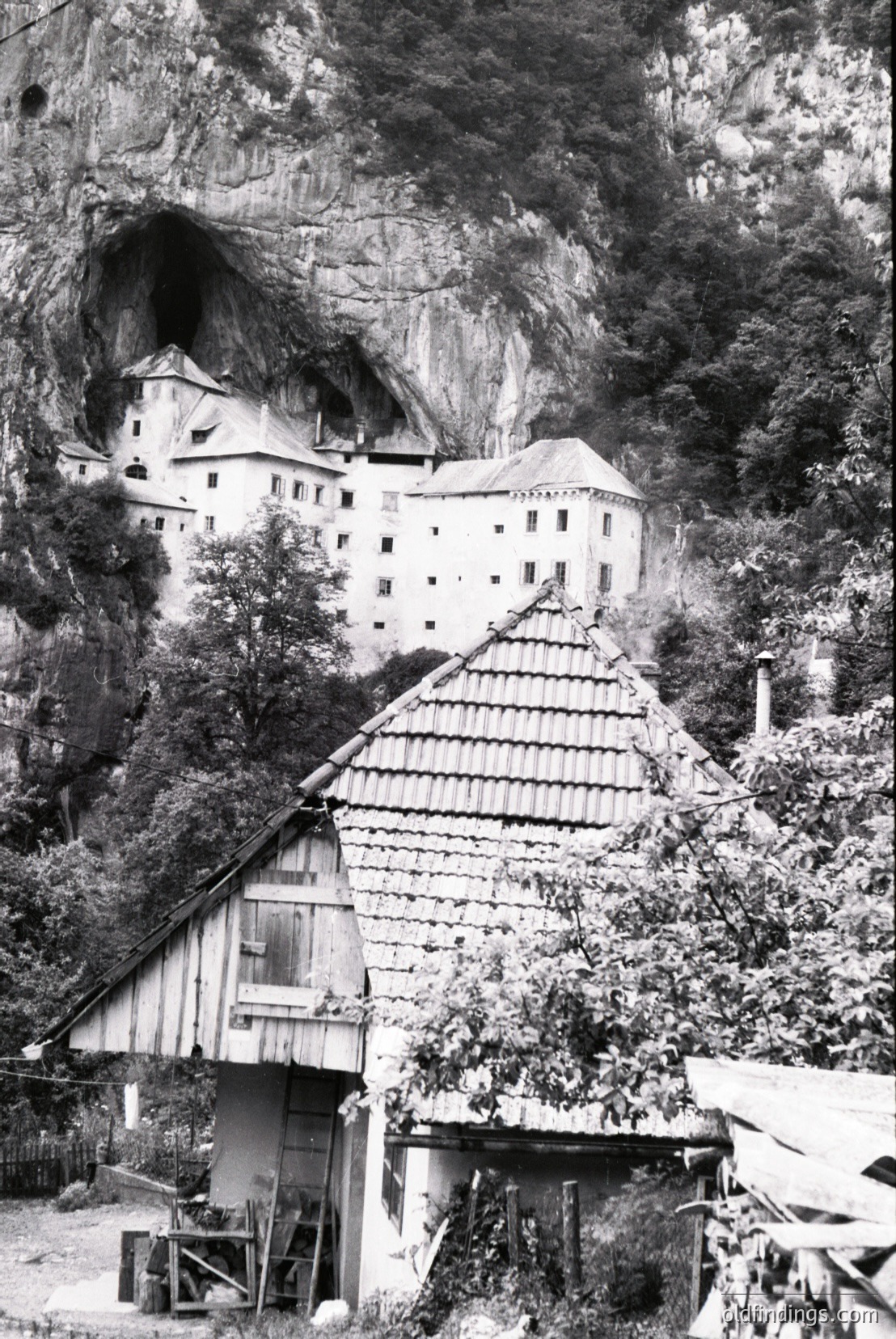 Vintage photograph