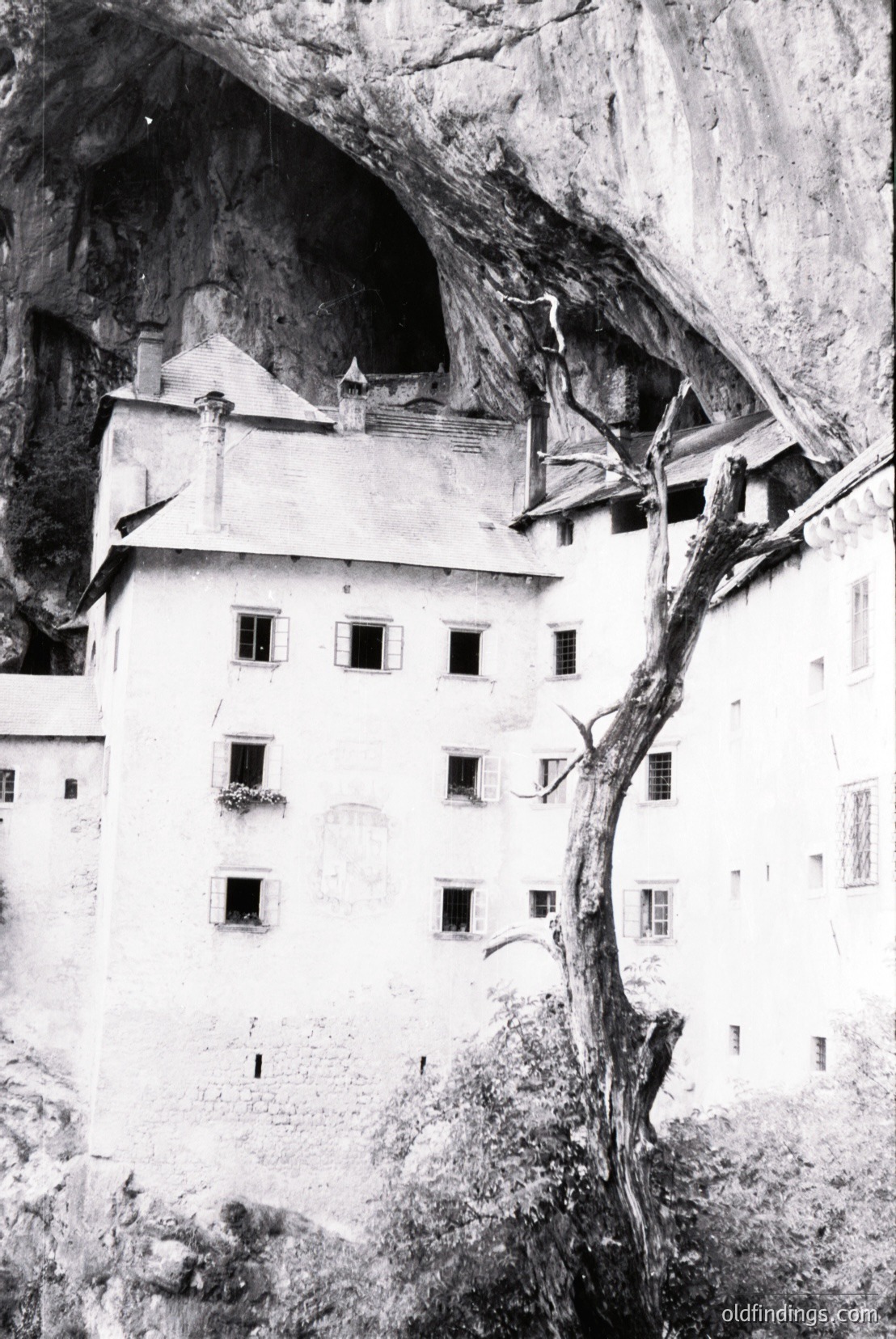 Vintage photograph