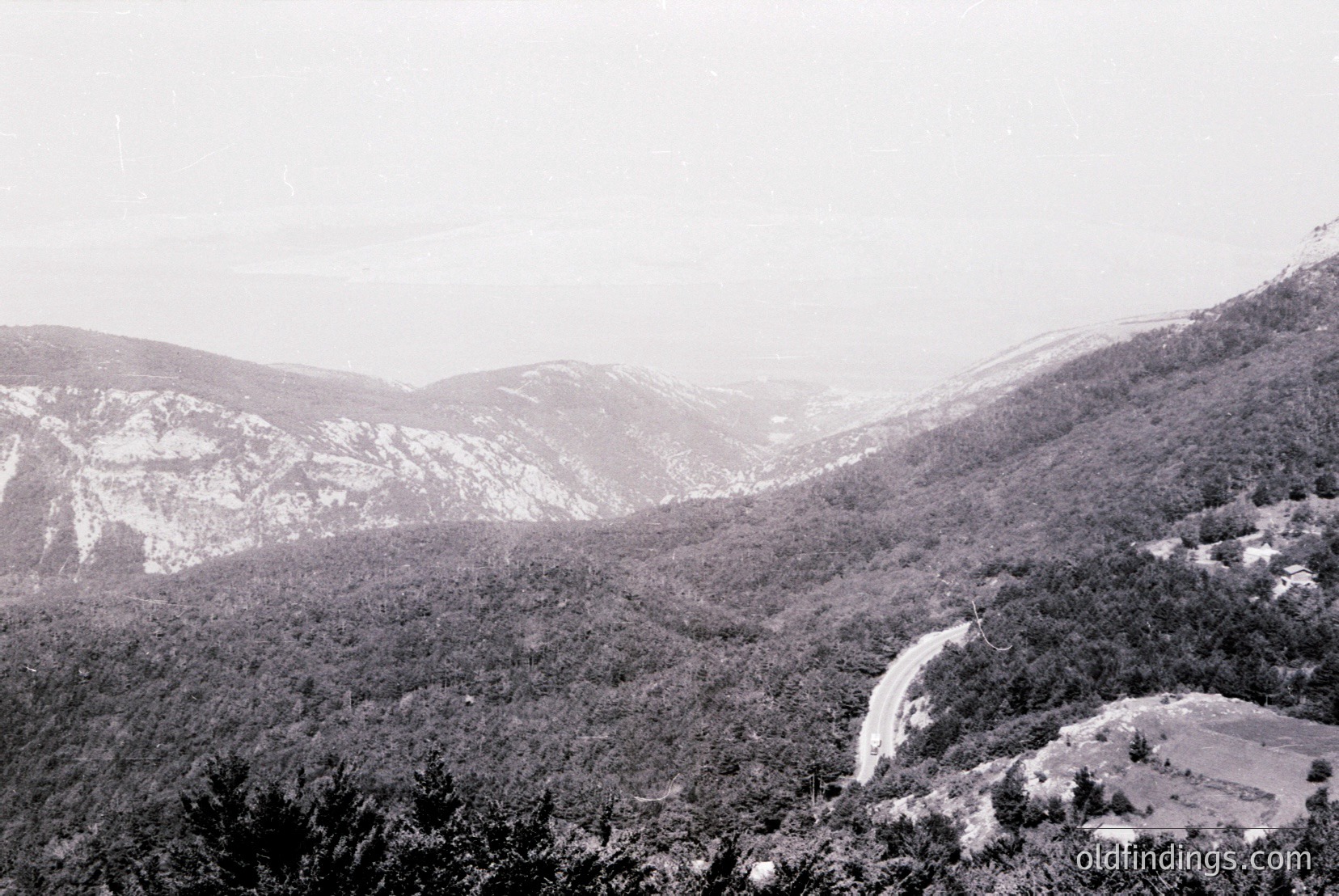 Vintage photograph