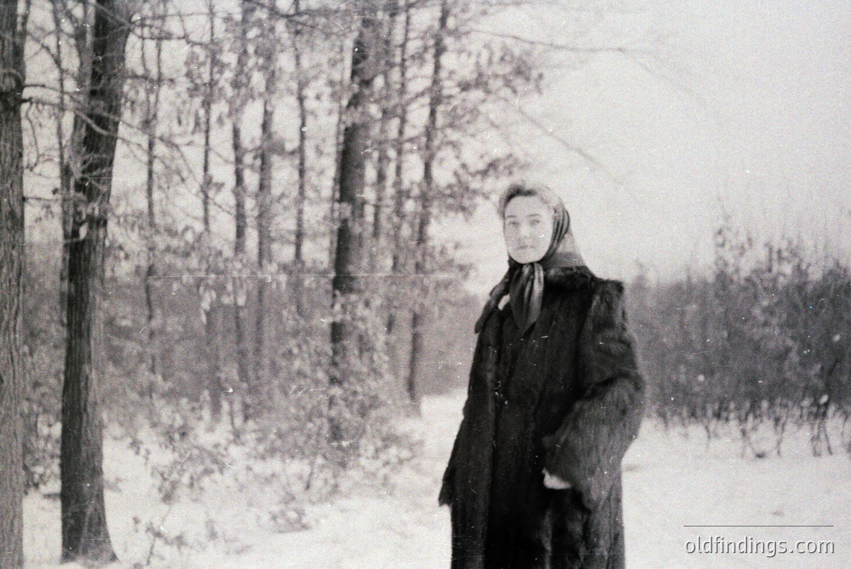 Vintage photograph