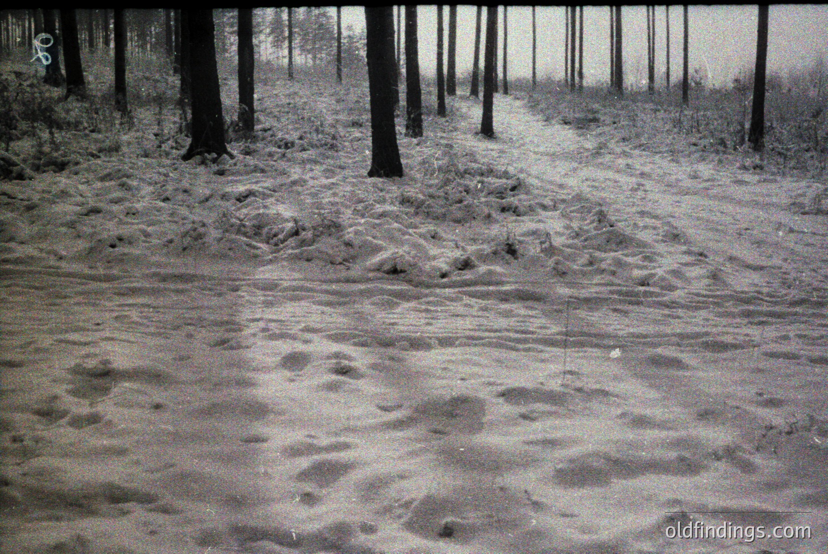 Vintage photograph