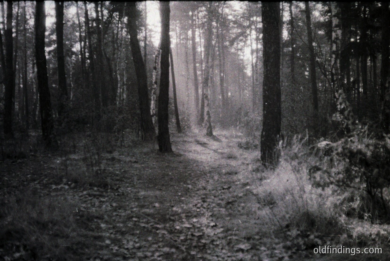 Vintage photograph