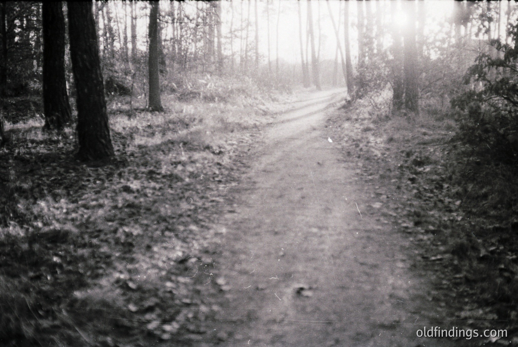 Vintage photograph