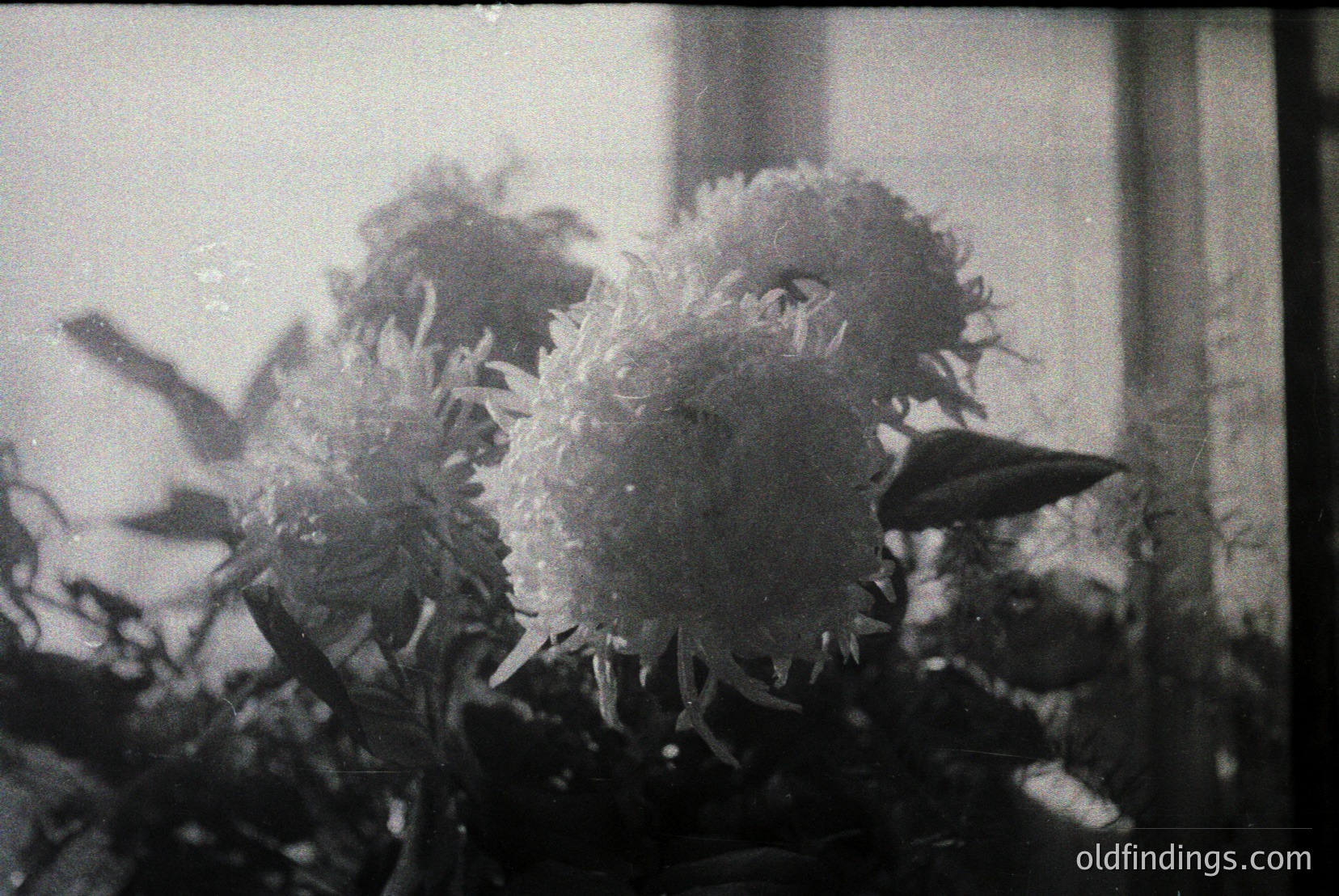 Vintage photograph