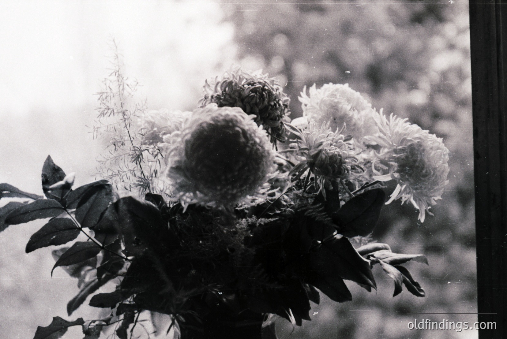 Vintage photograph