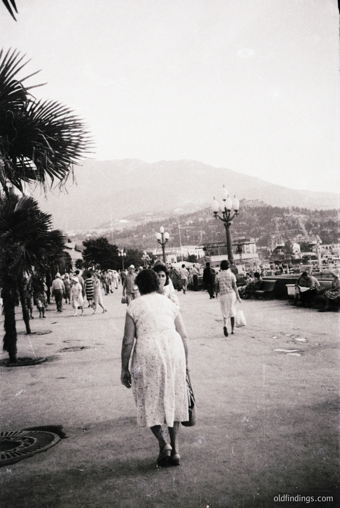 Vintage photograph