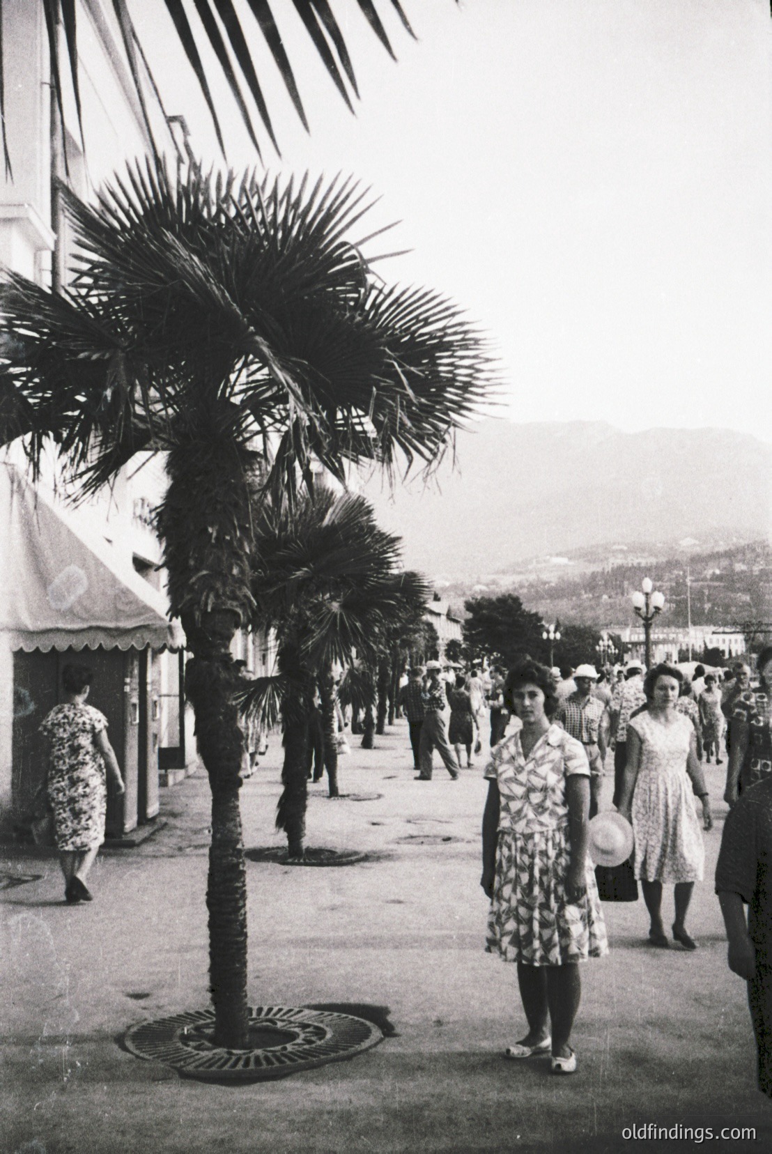 Vintage photograph