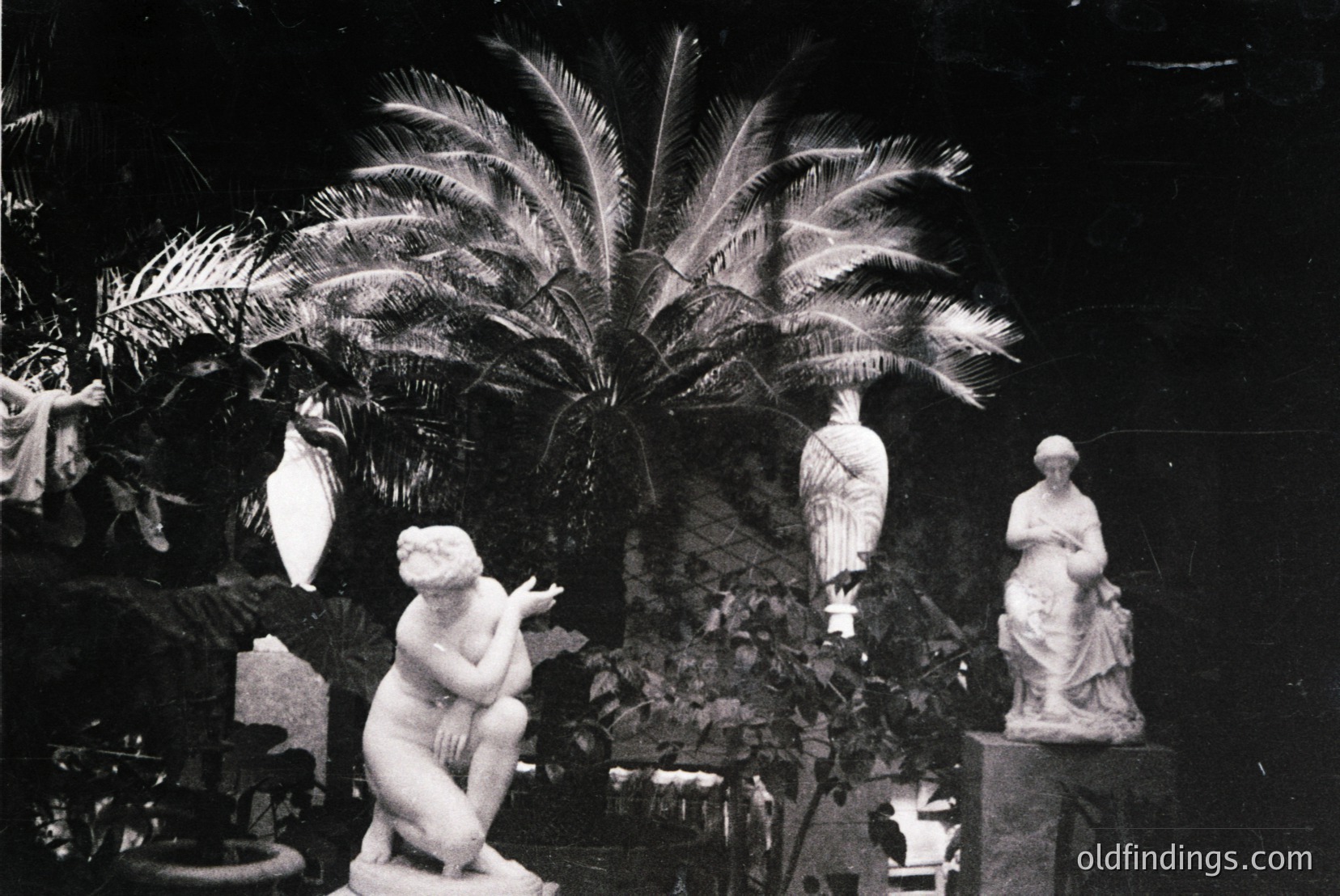 Vintage photograph