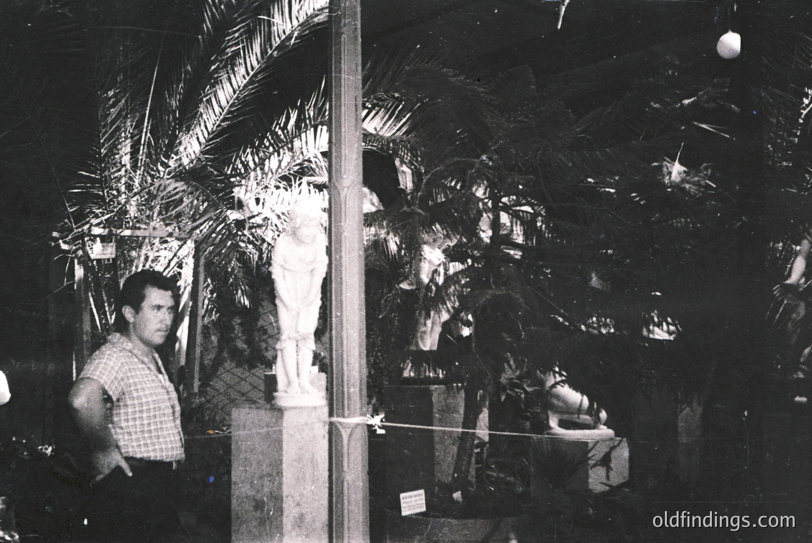 Vintage photograph
