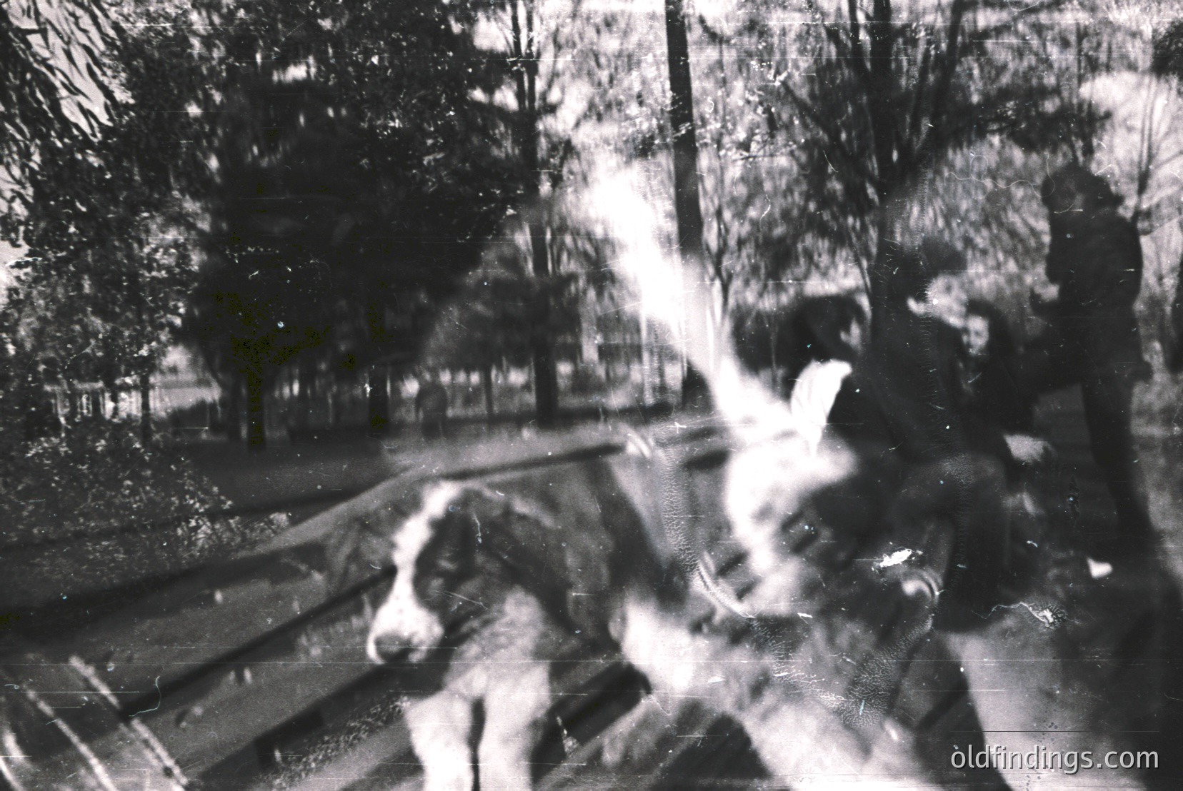 Vintage photograph