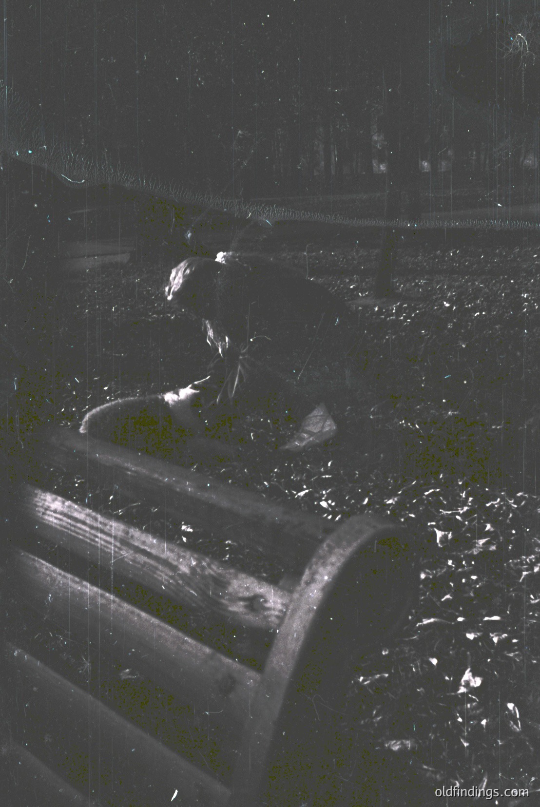 Vintage photograph