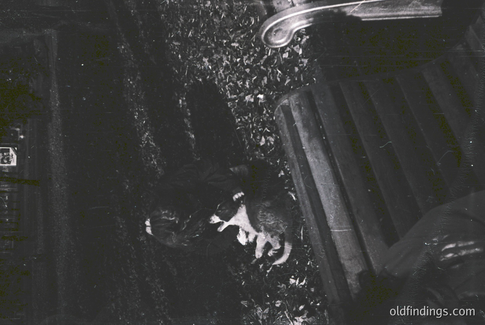 Vintage photograph
