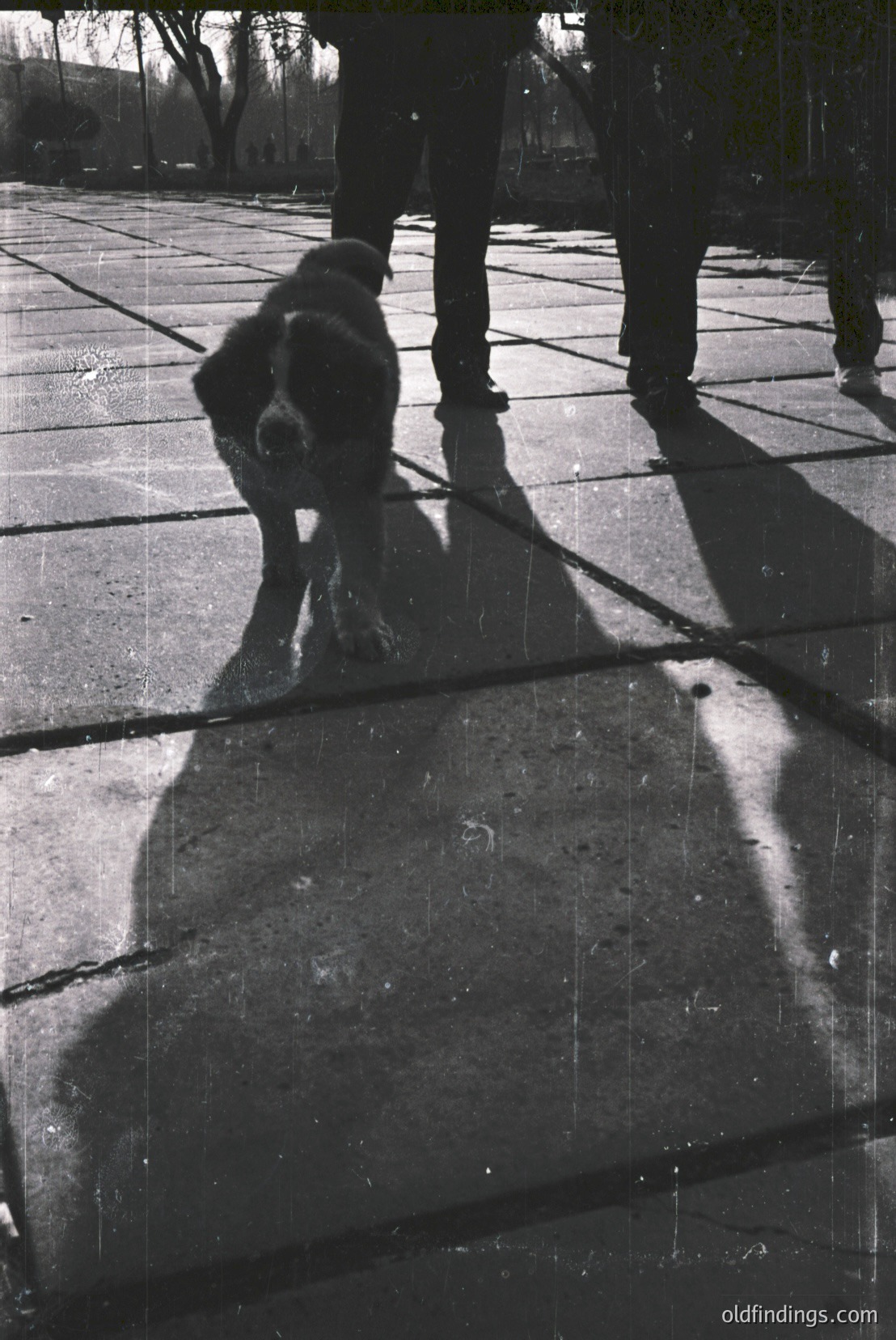 Vintage photograph