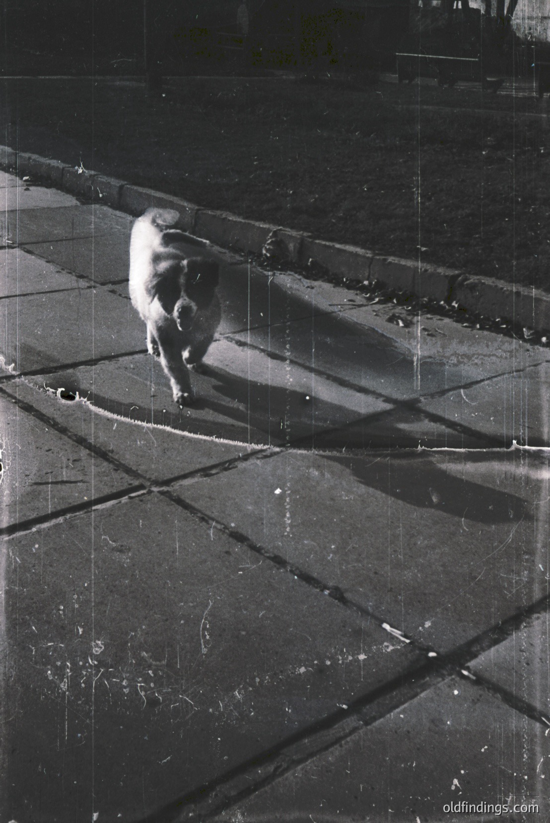 Vintage photograph