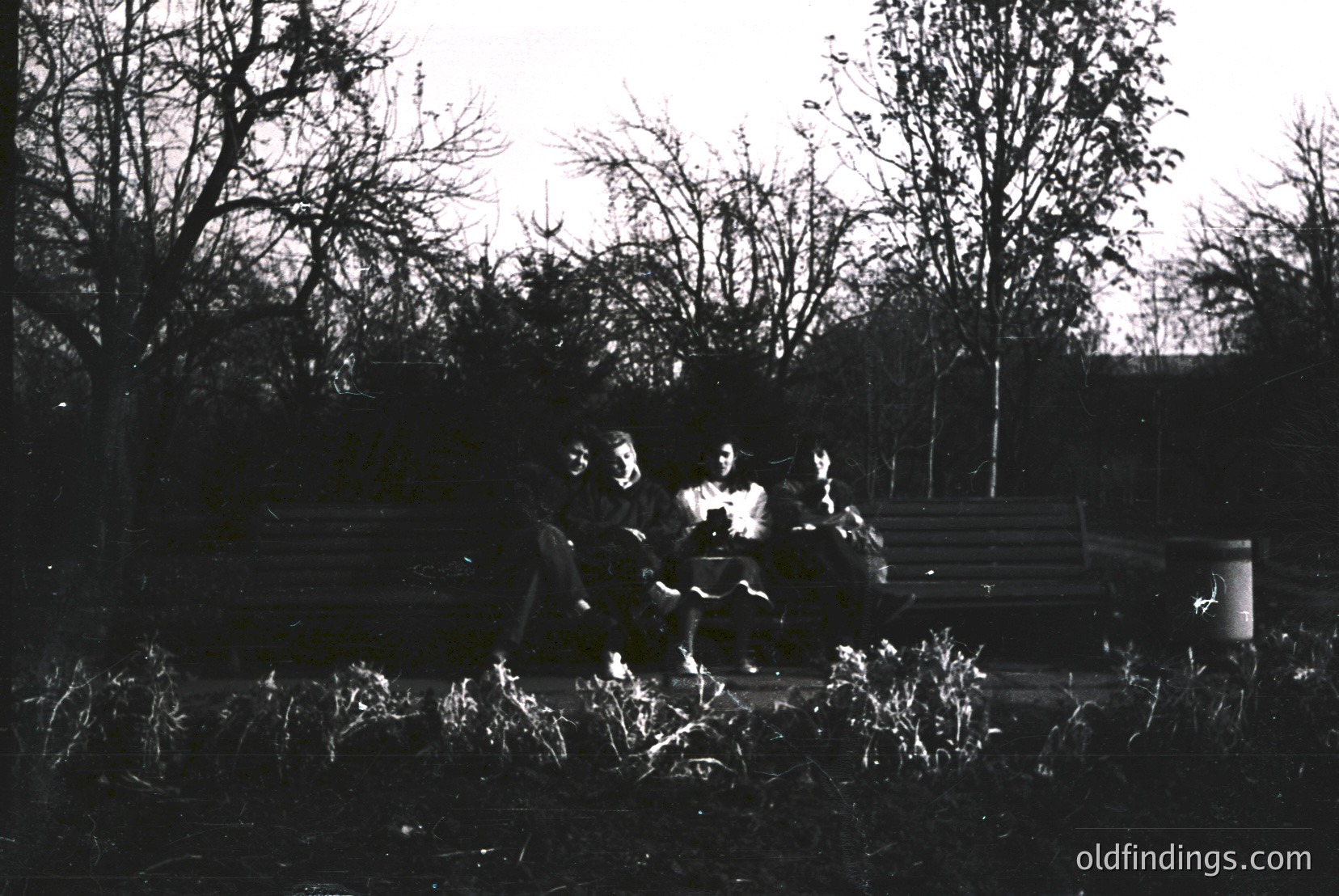 Vintage photograph