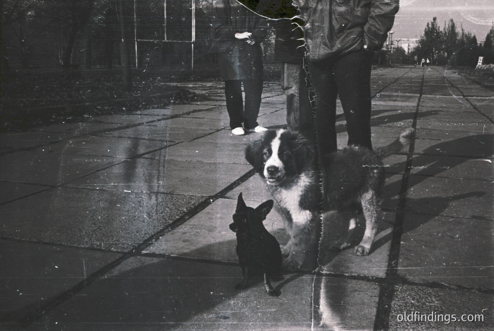 Vintage photograph