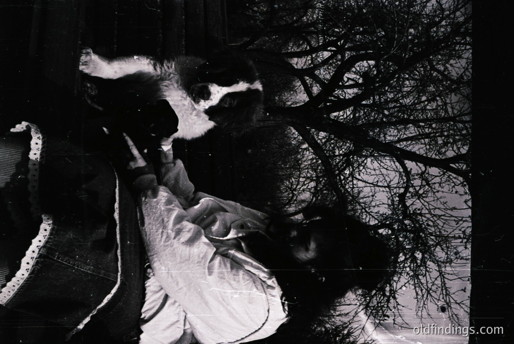 Vintage photograph