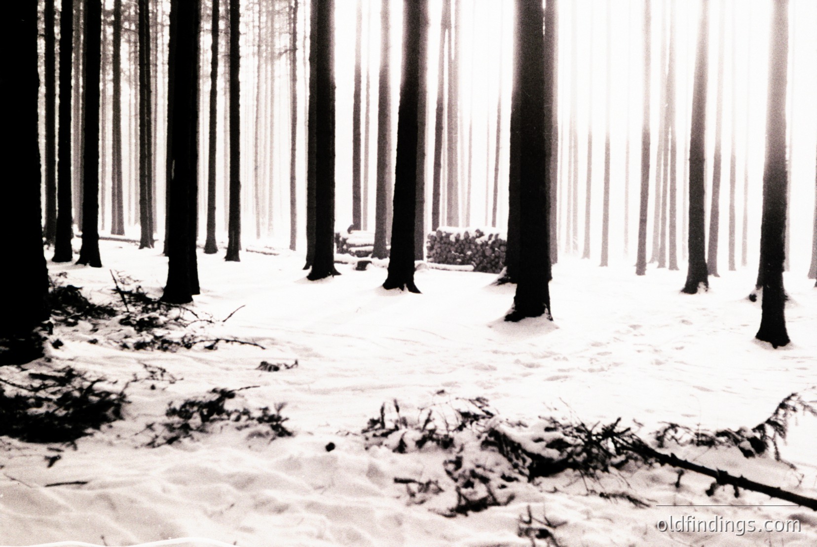Vintage photograph