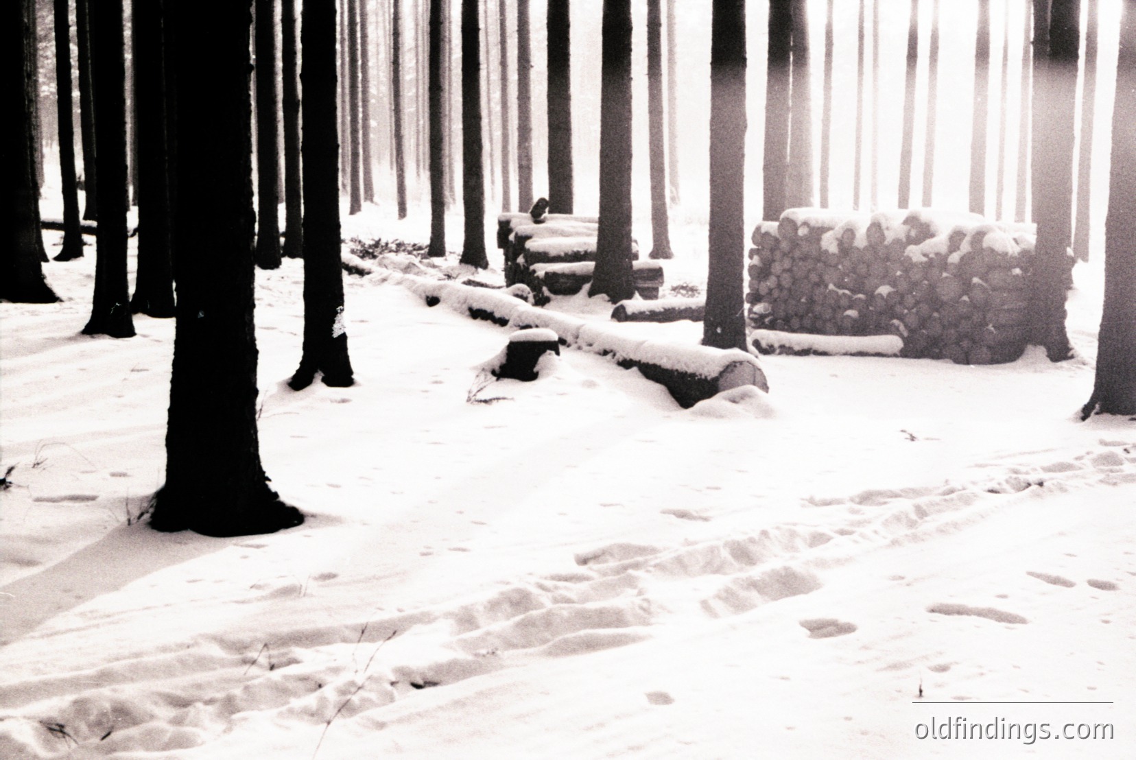 Vintage photograph