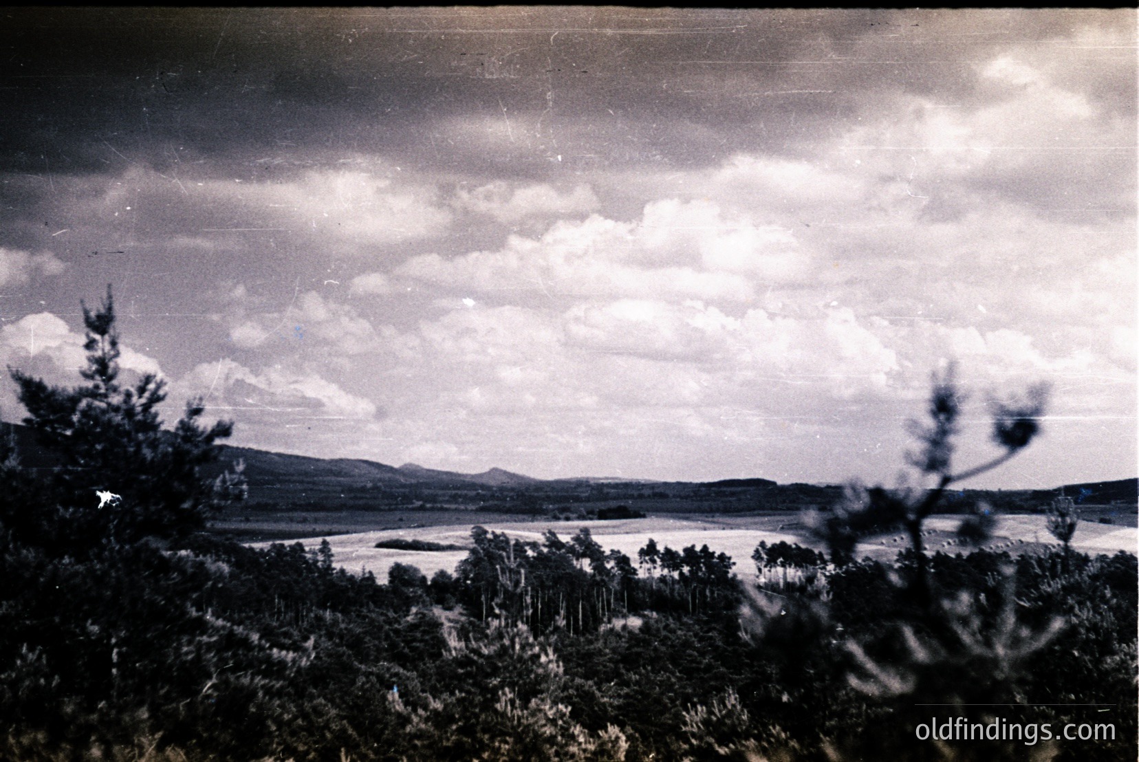 Vintage photograph