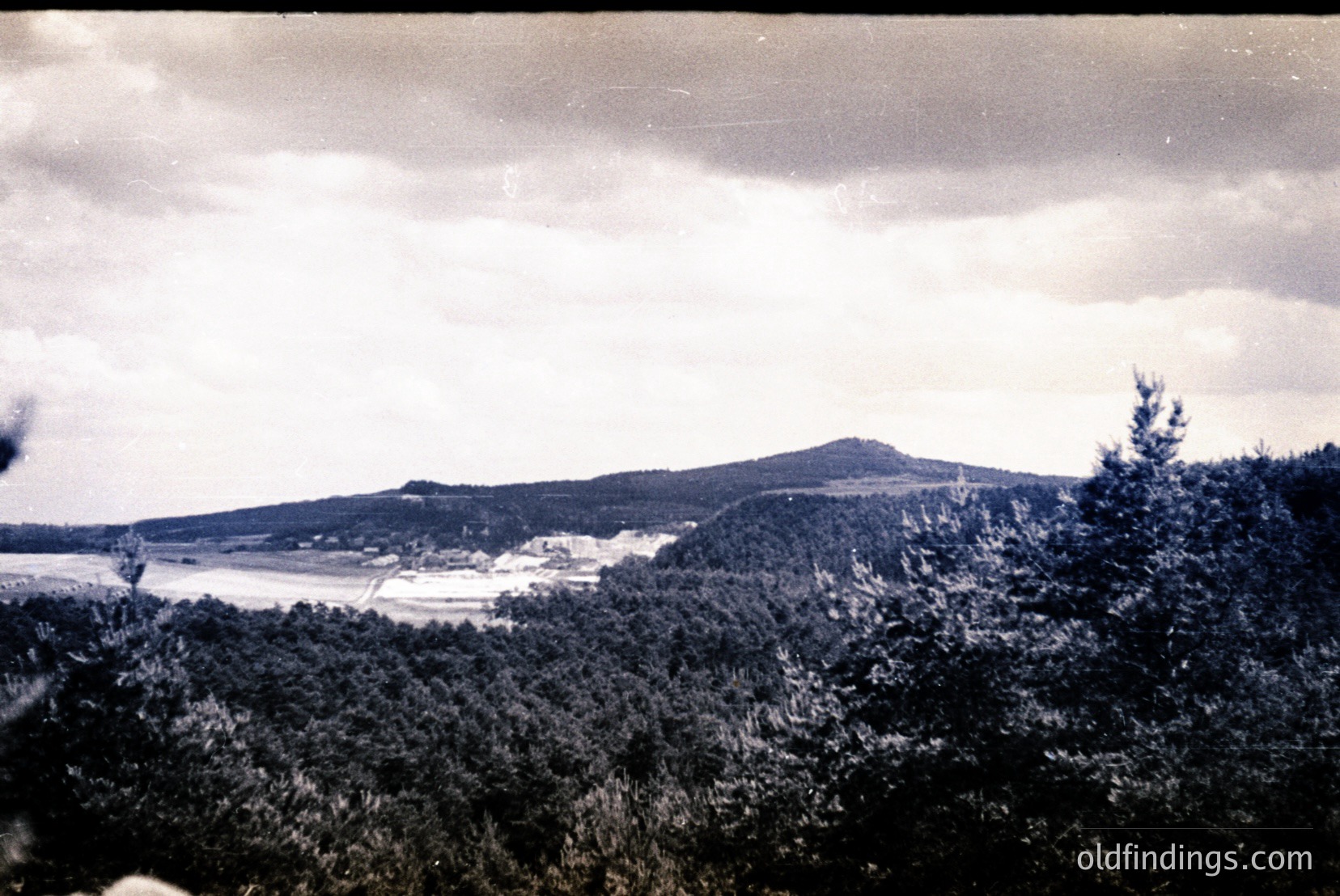 Vintage photograph