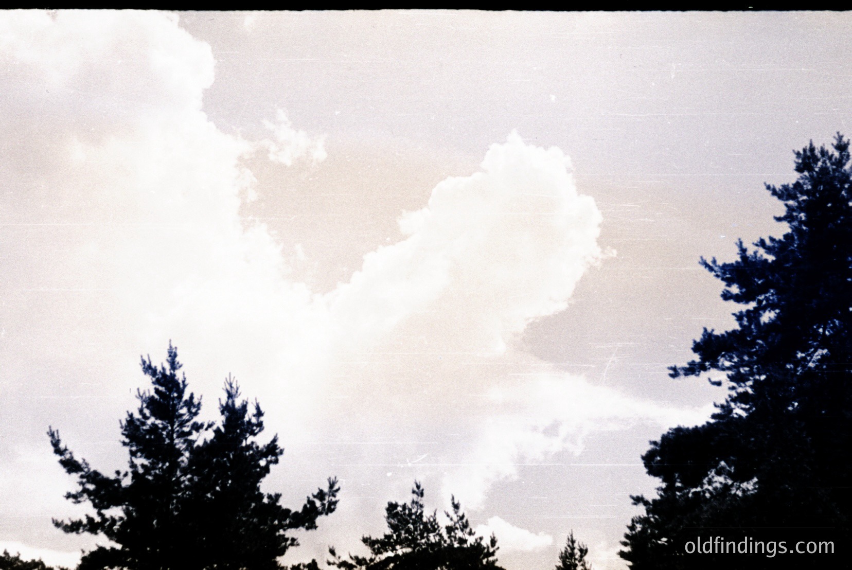 Vintage photograph