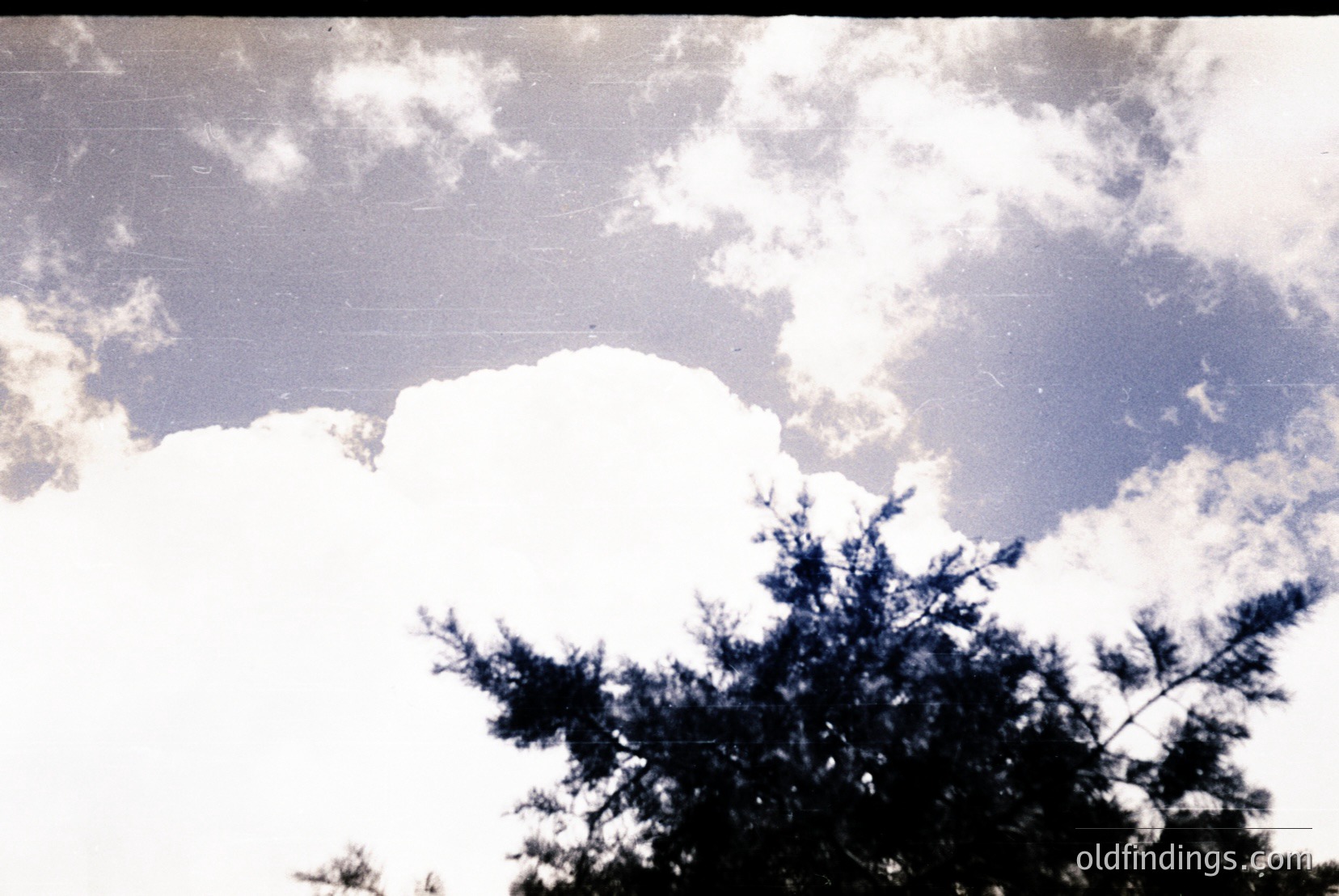 Vintage photograph