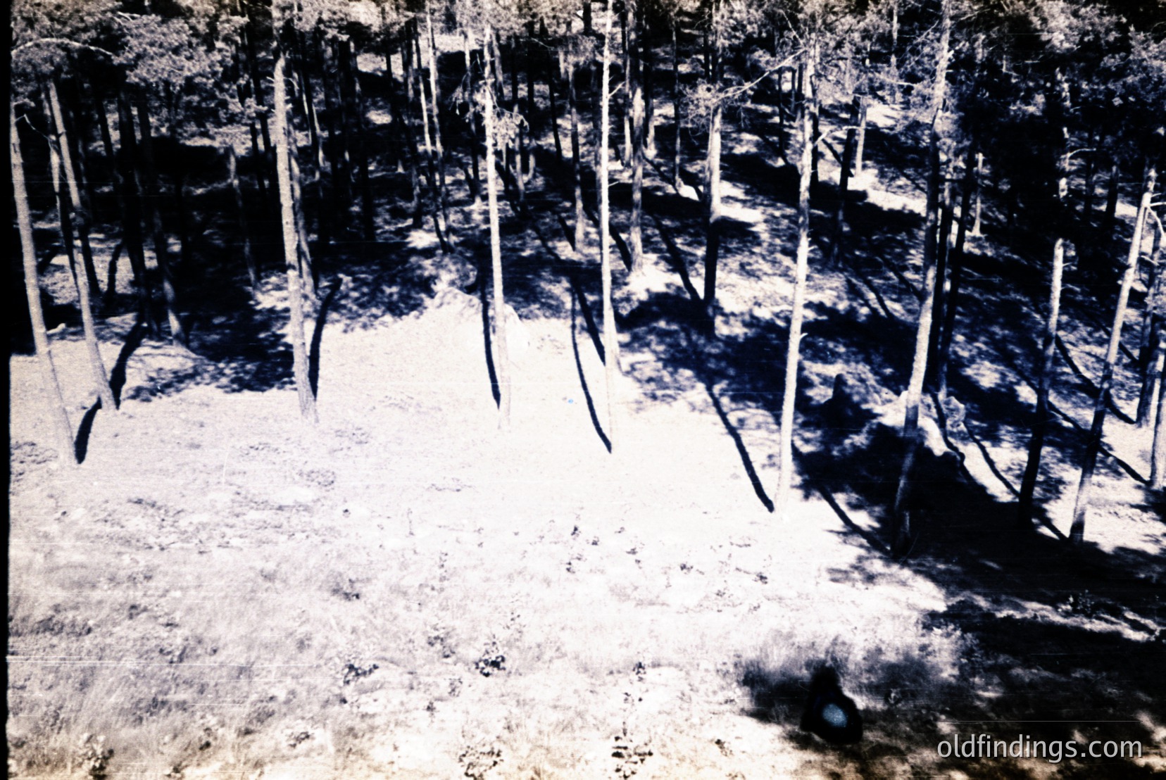 Vintage photograph