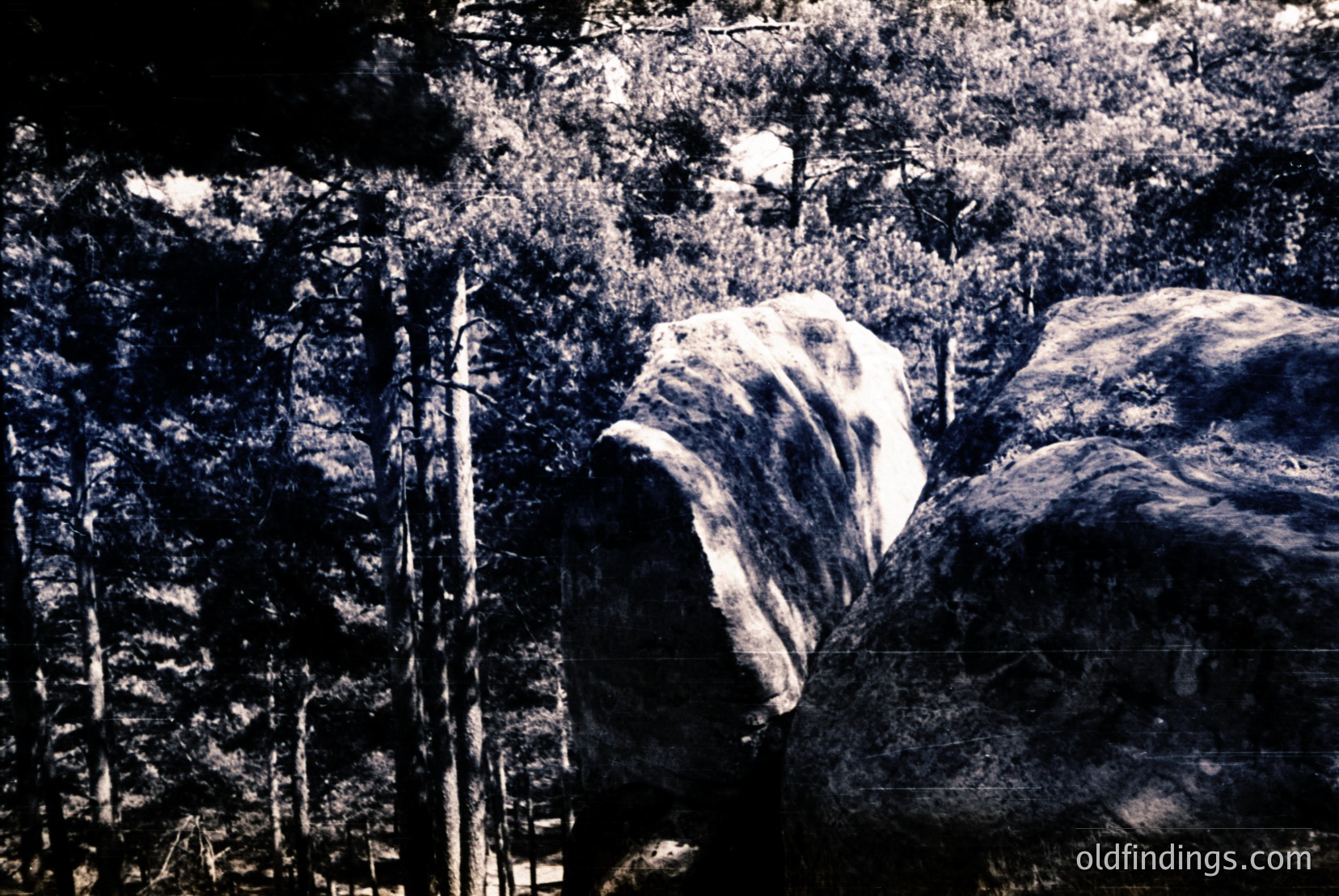 Vintage photograph