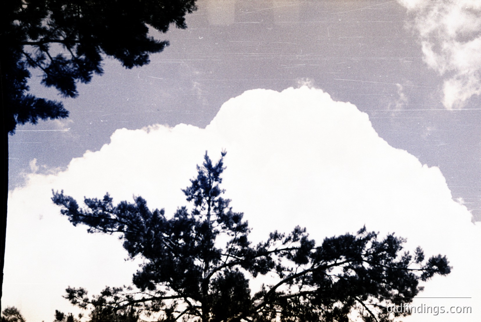 Vintage photograph