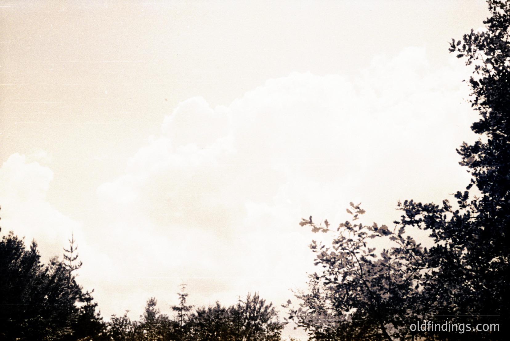 Vintage photograph