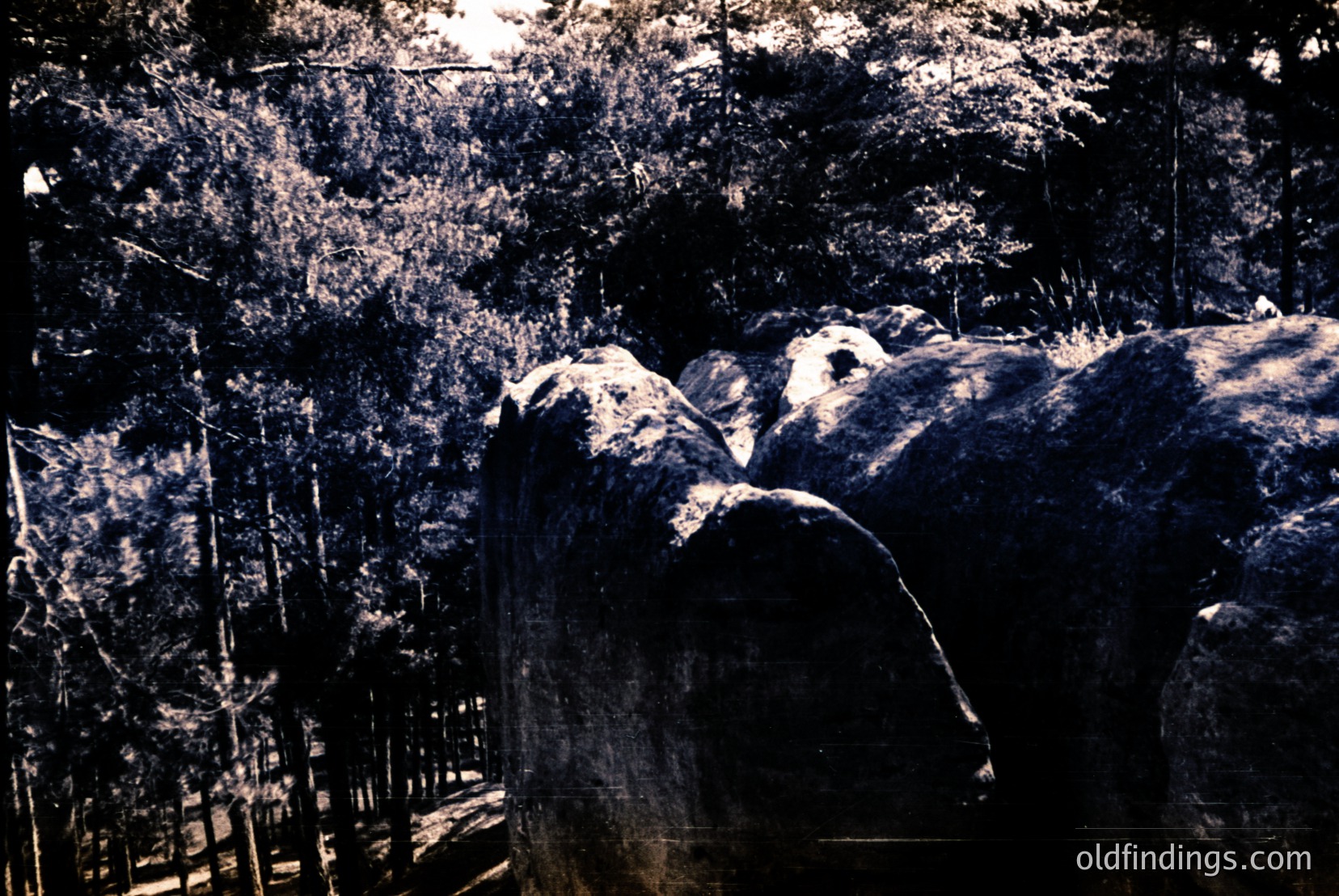 Vintage photograph