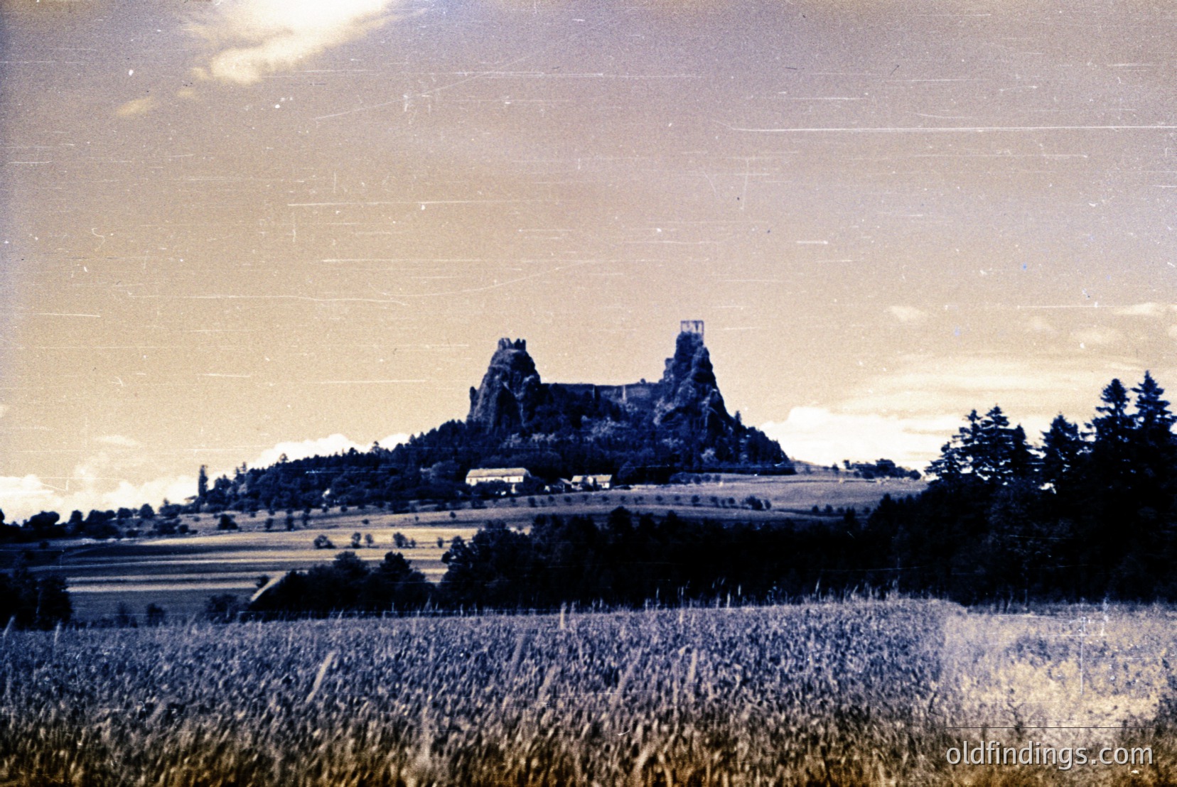 Vintage photograph