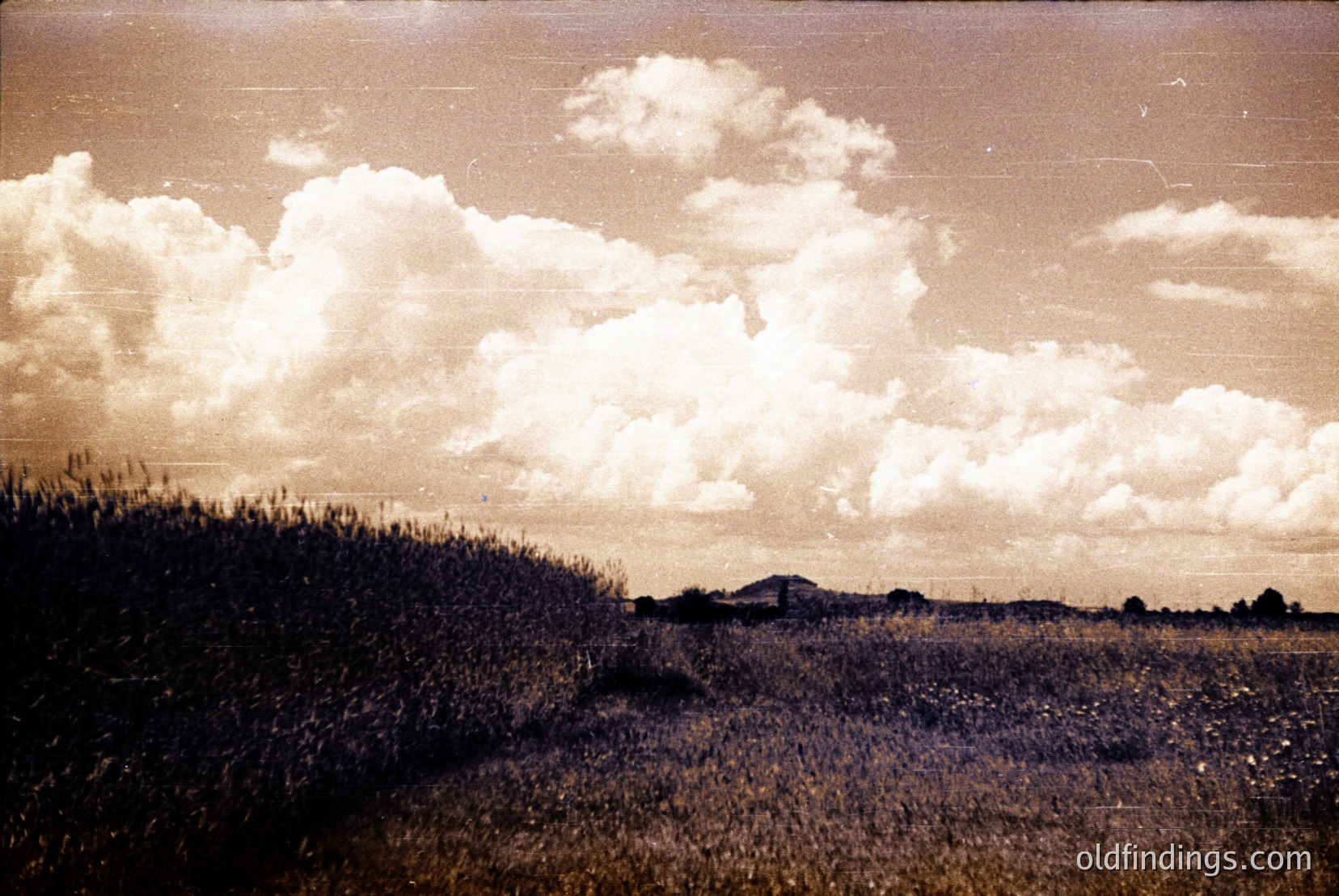 Vintage photograph
