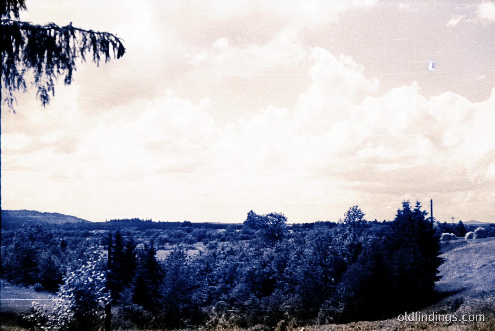 Vintage photograph